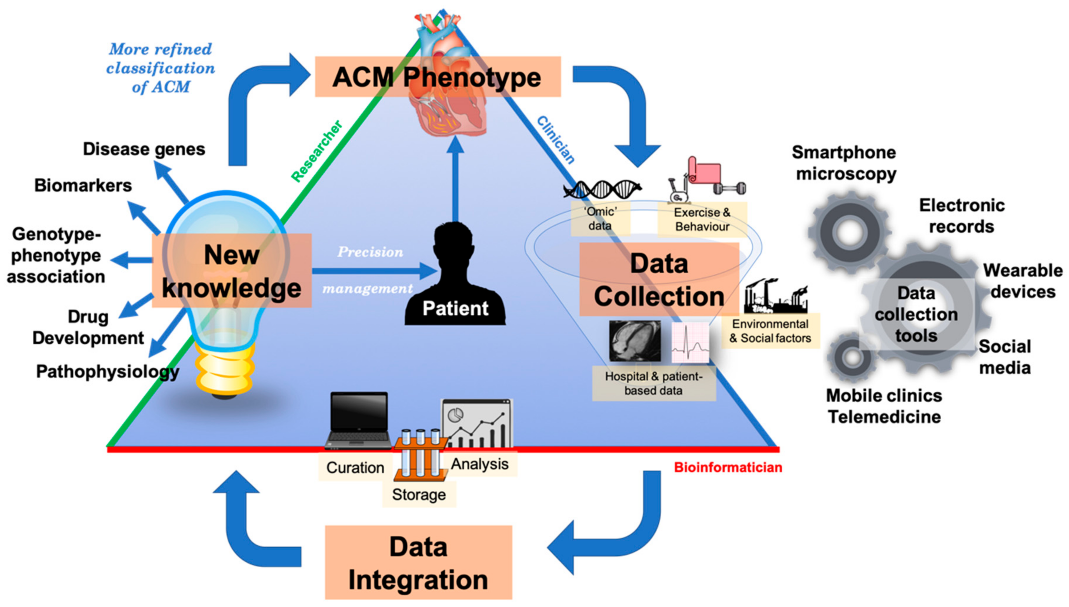 Ijms 21 06615 g022 Ijms 21 06615 g022