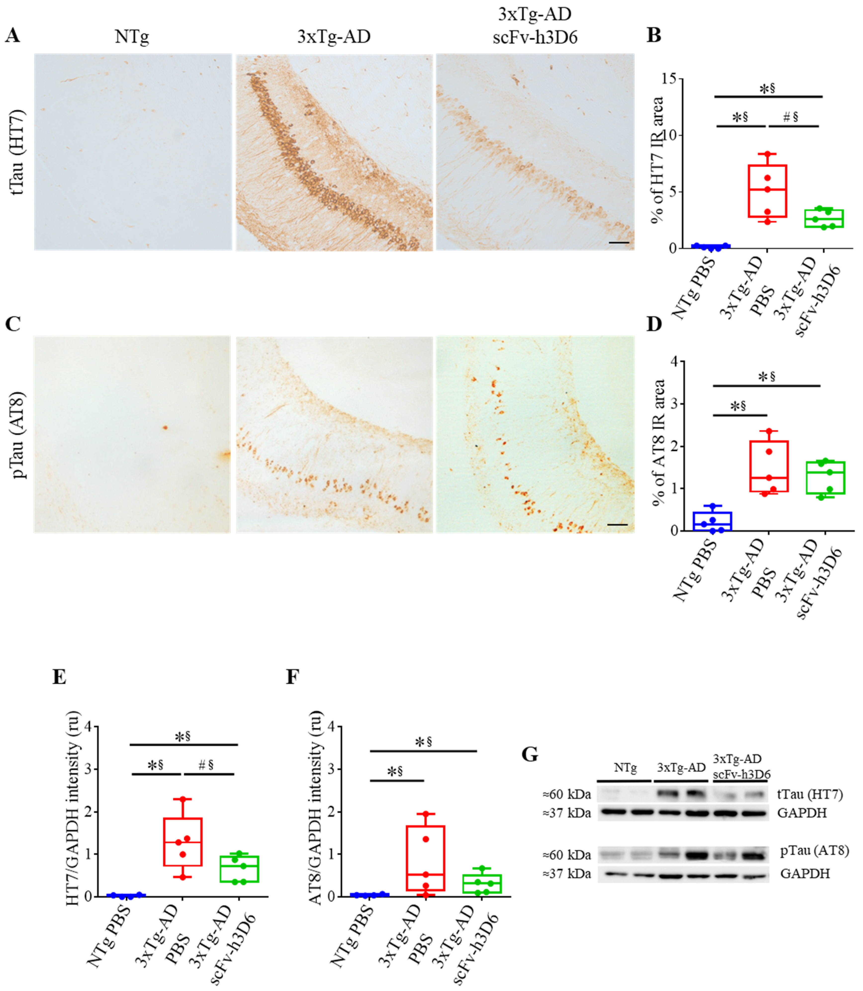 Ijms 21 06630 g004 Ijms 21 06630 g004
