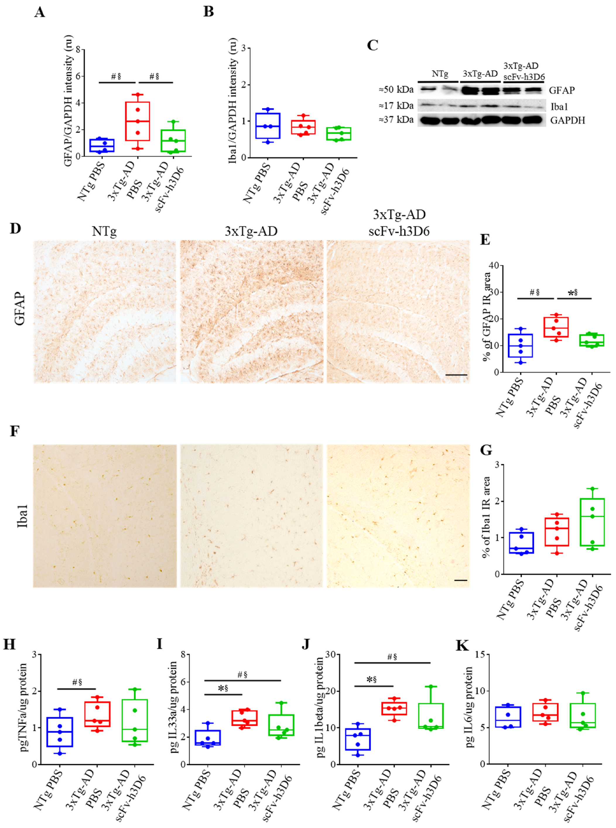Ijms 21 06630 g006 Ijms 21 06630 g006
