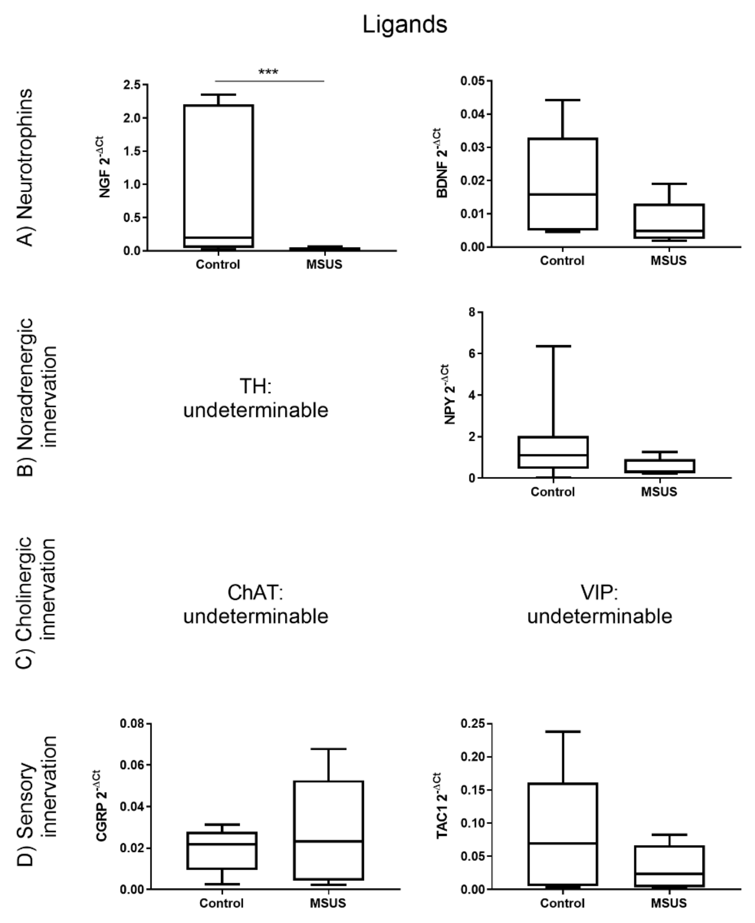 Ijms 21 06634 g002 Ijms 21 06634 g002