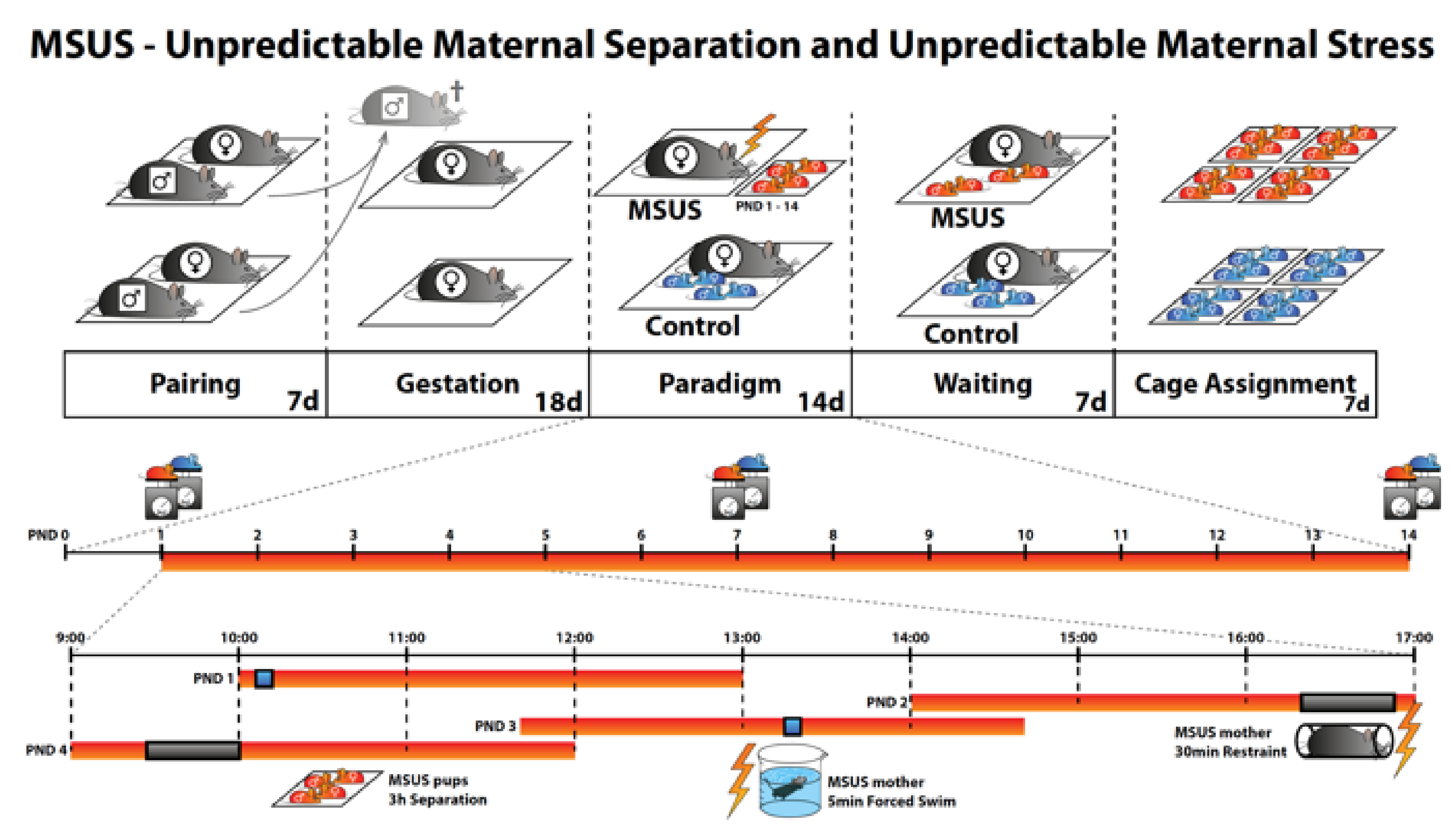 Ijms 21 06634 g007 Ijms 21 06634 g007