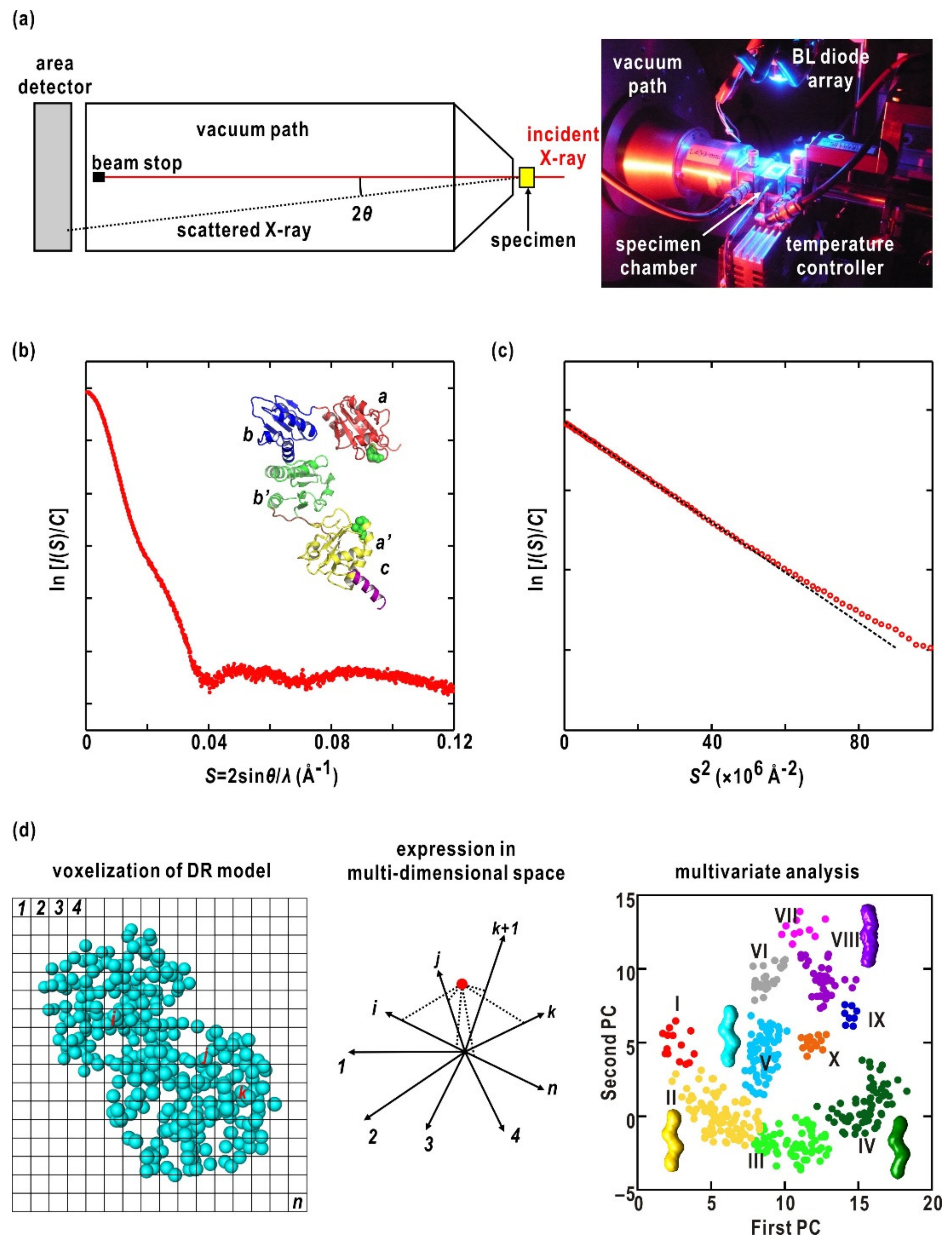 Ijms 21 06638 g002 Ijms 21 06638 g002