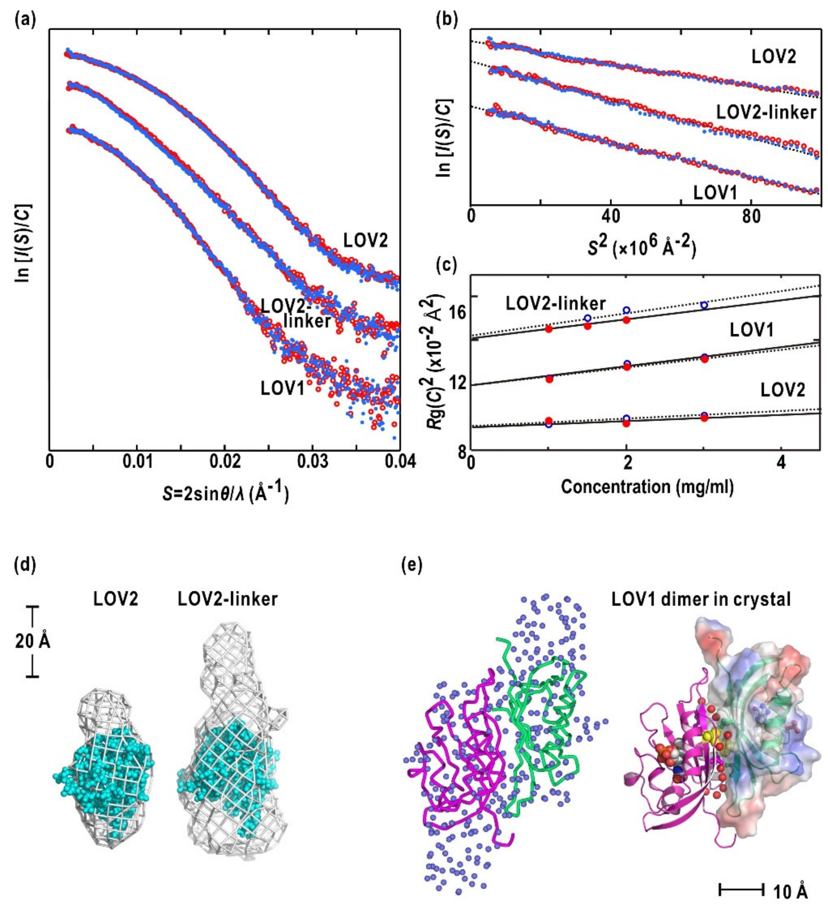 Ijms 21 06638 g003 Ijms 21 06638 g003