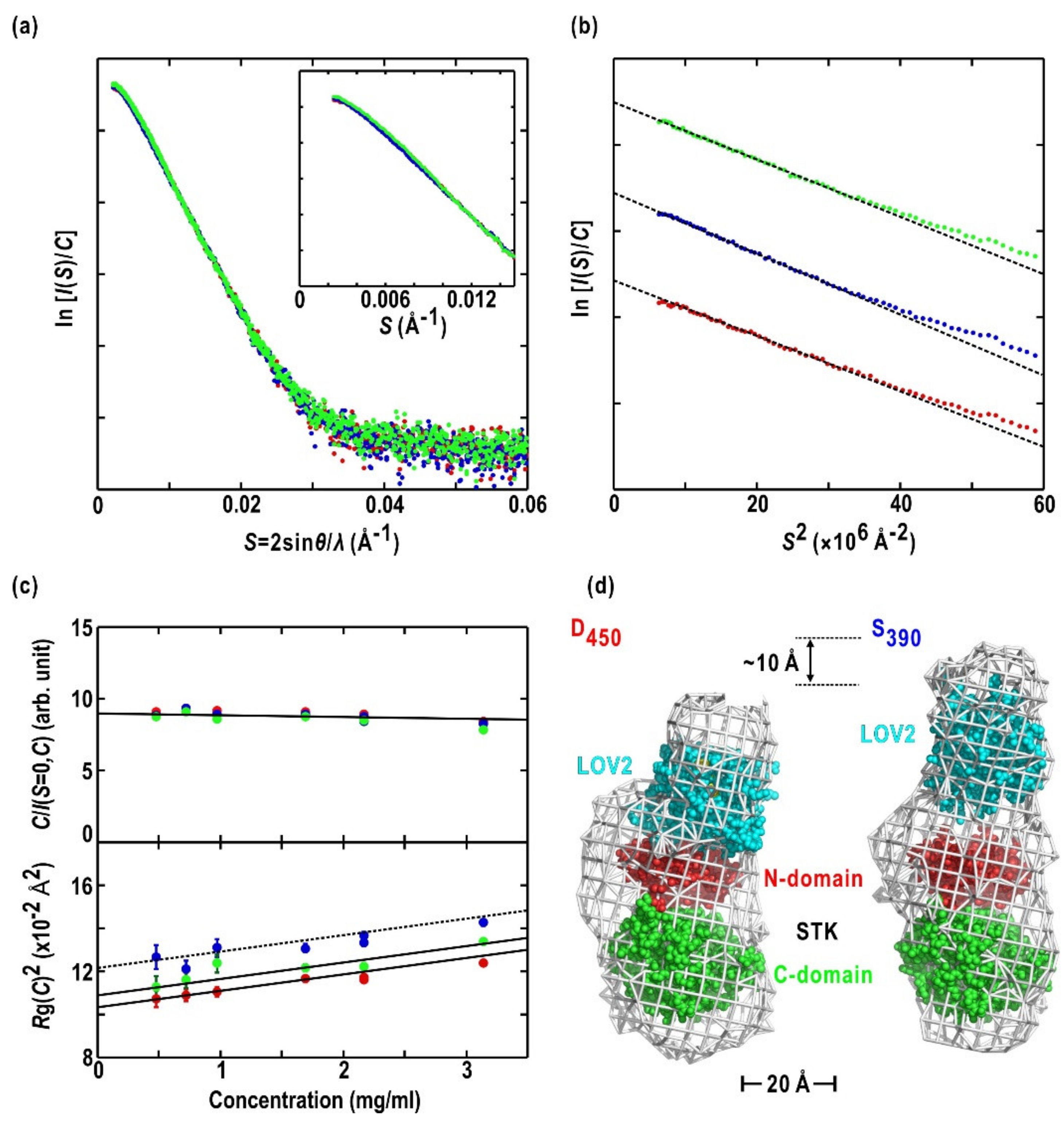 Ijms 21 06638 g004 Ijms 21 06638 g004