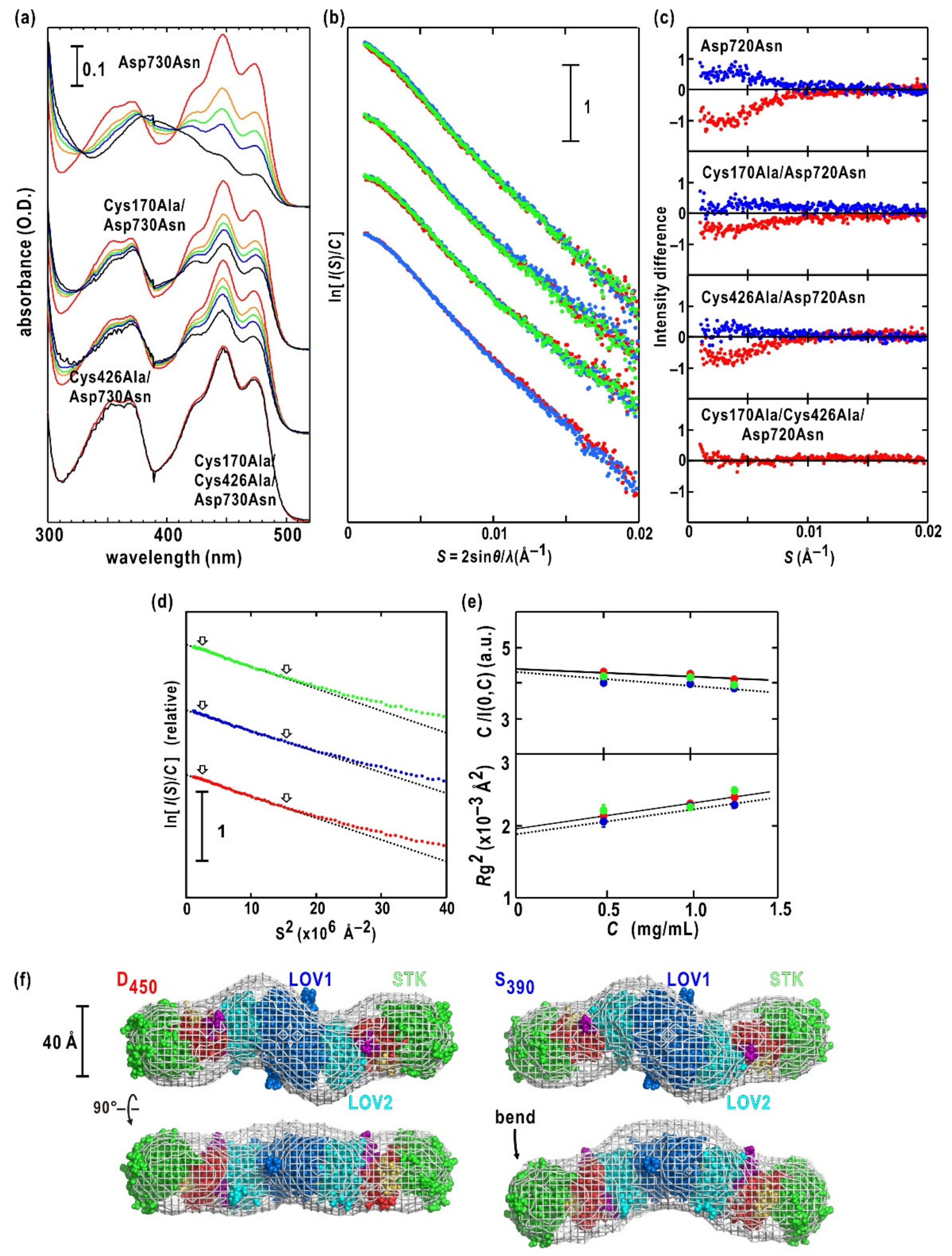 Ijms 21 06638 g005 Ijms 21 06638 g005