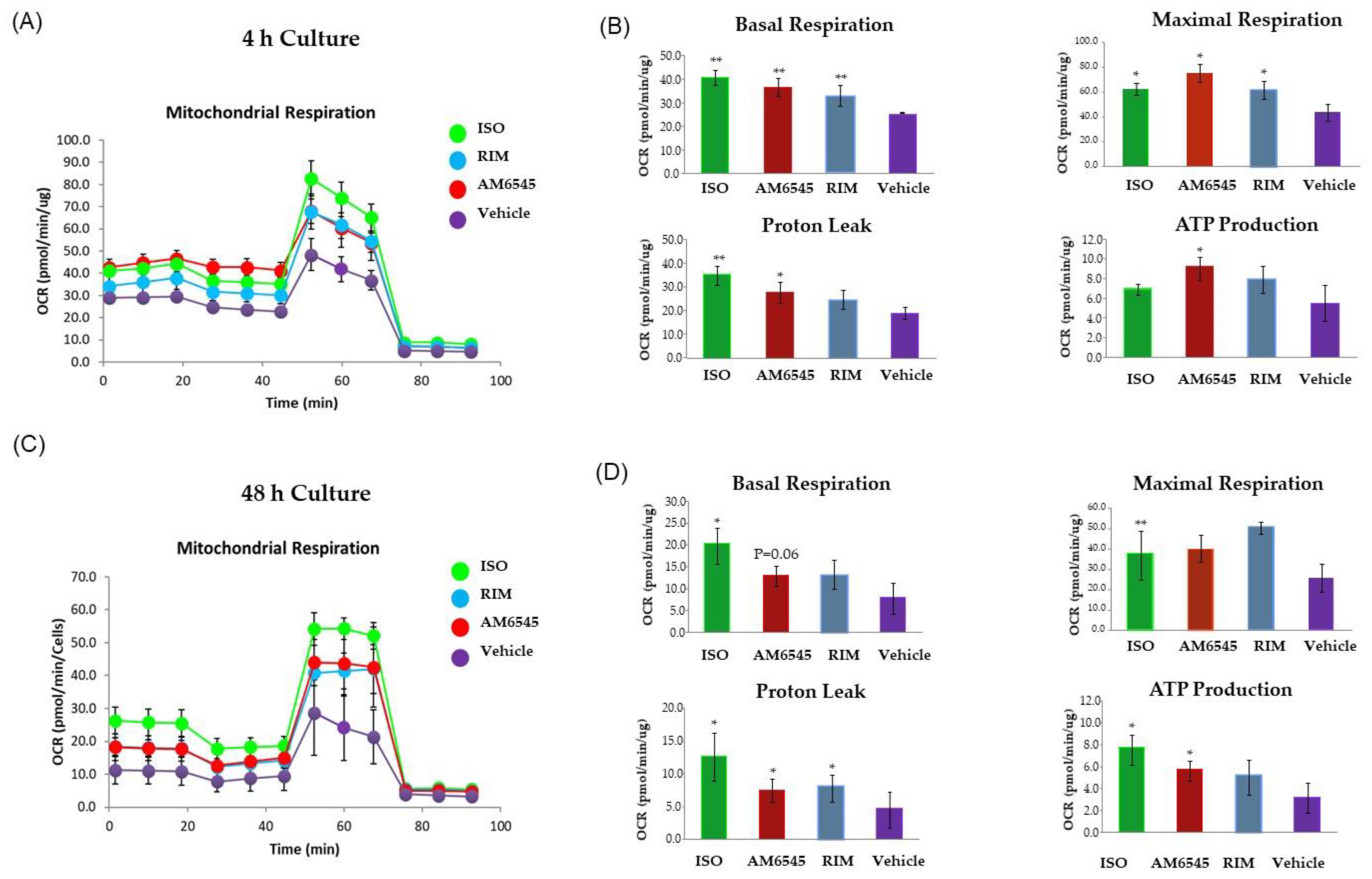 Ijms 21 06639 g005 Ijms 21 06639 g005