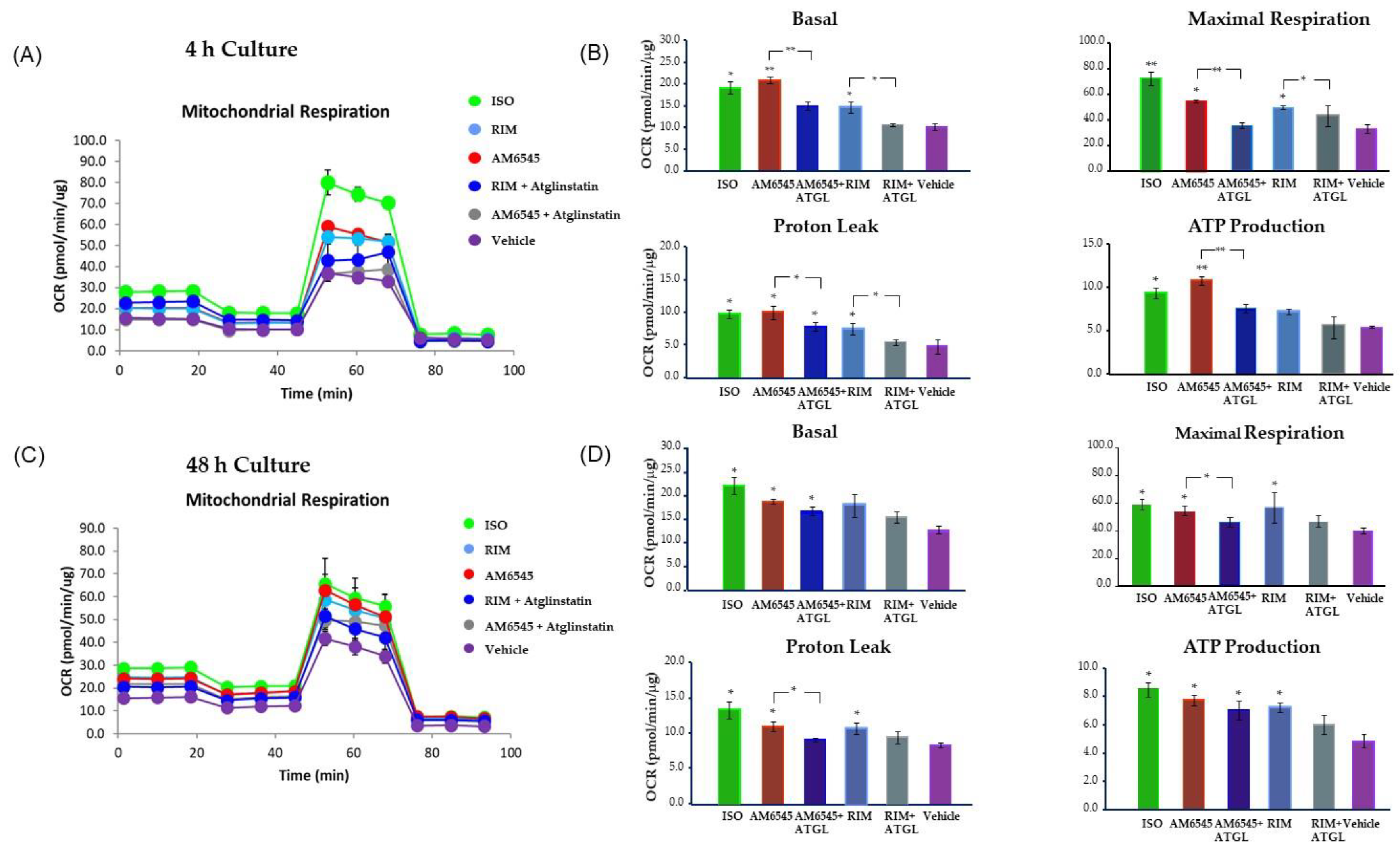 Ijms 21 06639 g007 Ijms 21 06639 g007