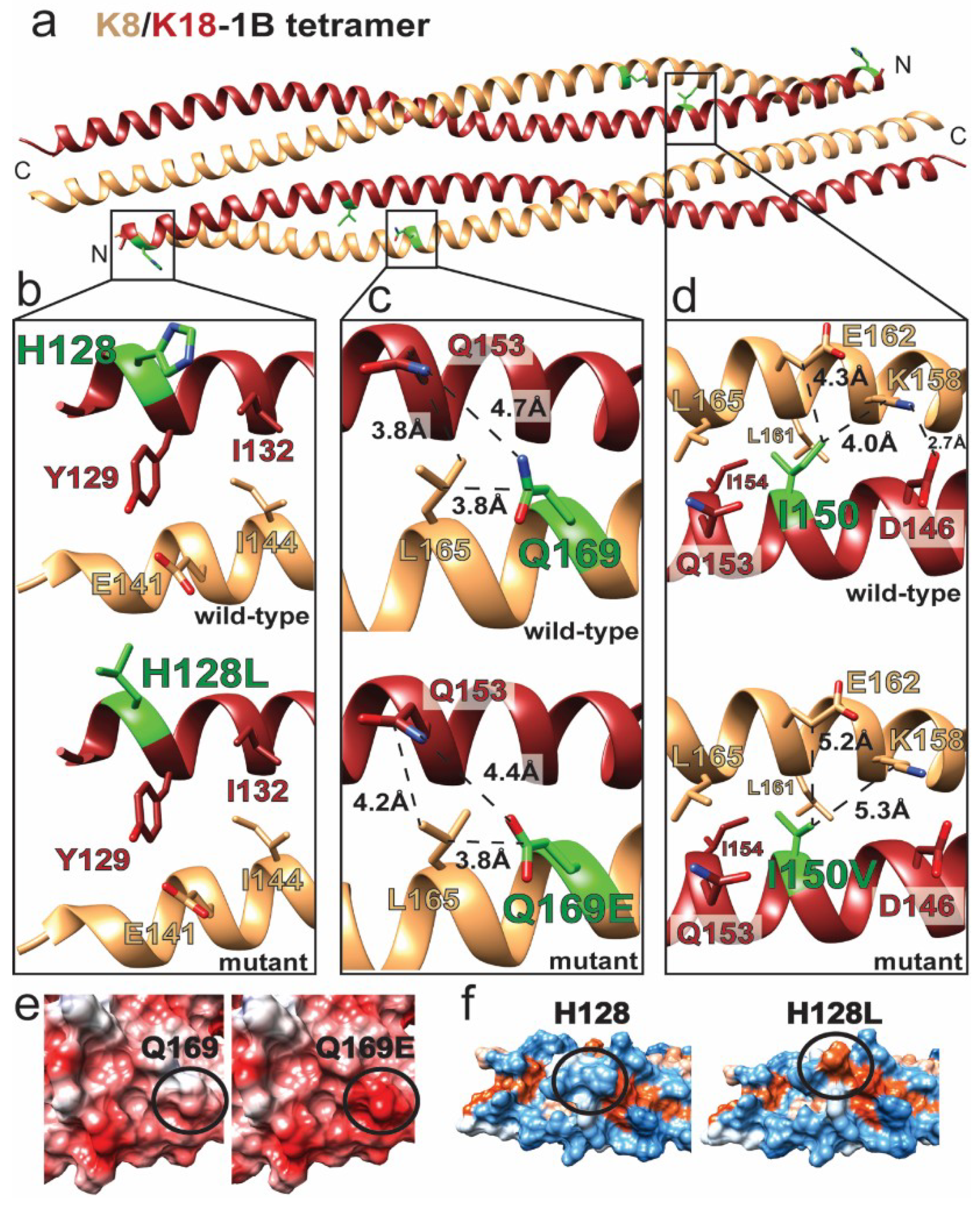 Ijms 21 06641 g003 Ijms 21 06641 g003