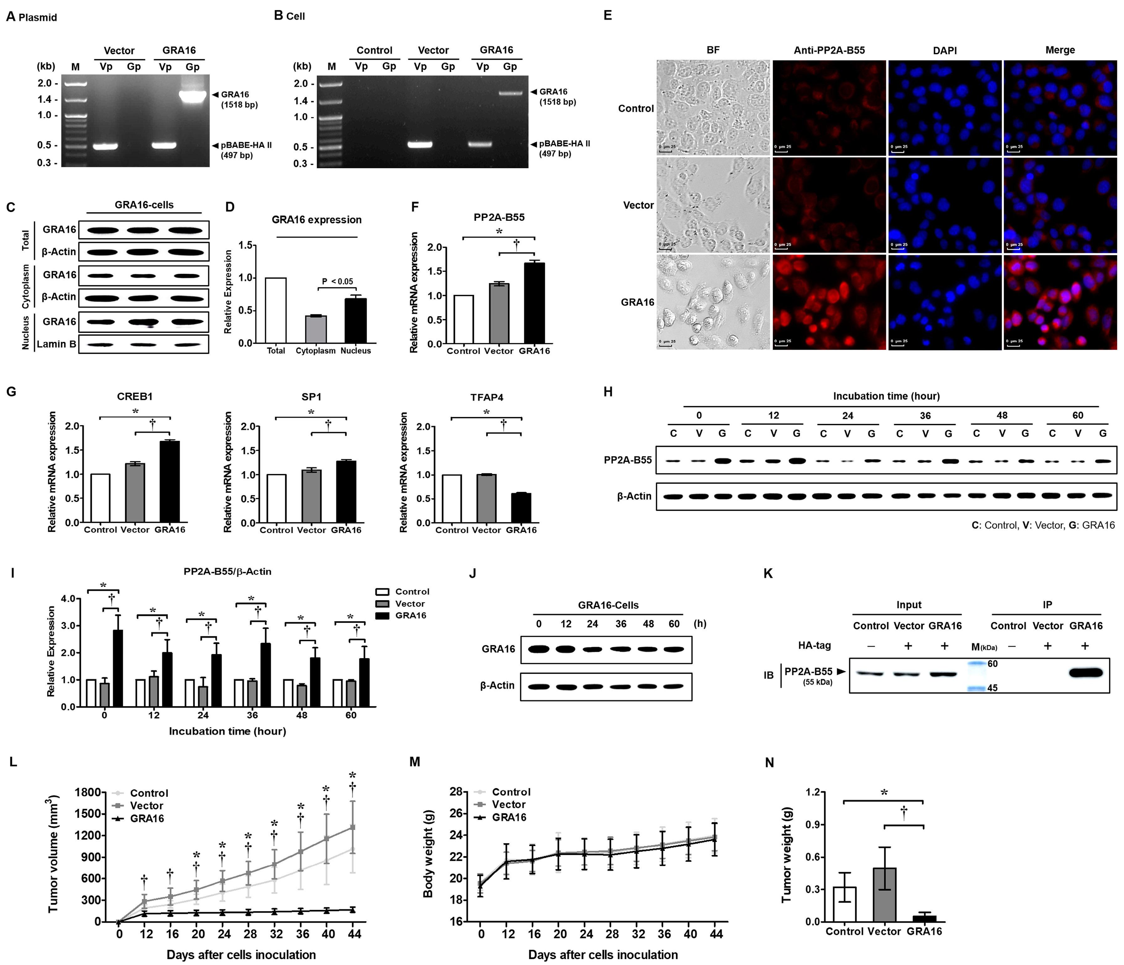 Ijms 21 06642 g001 Ijms 21 06642 g001
