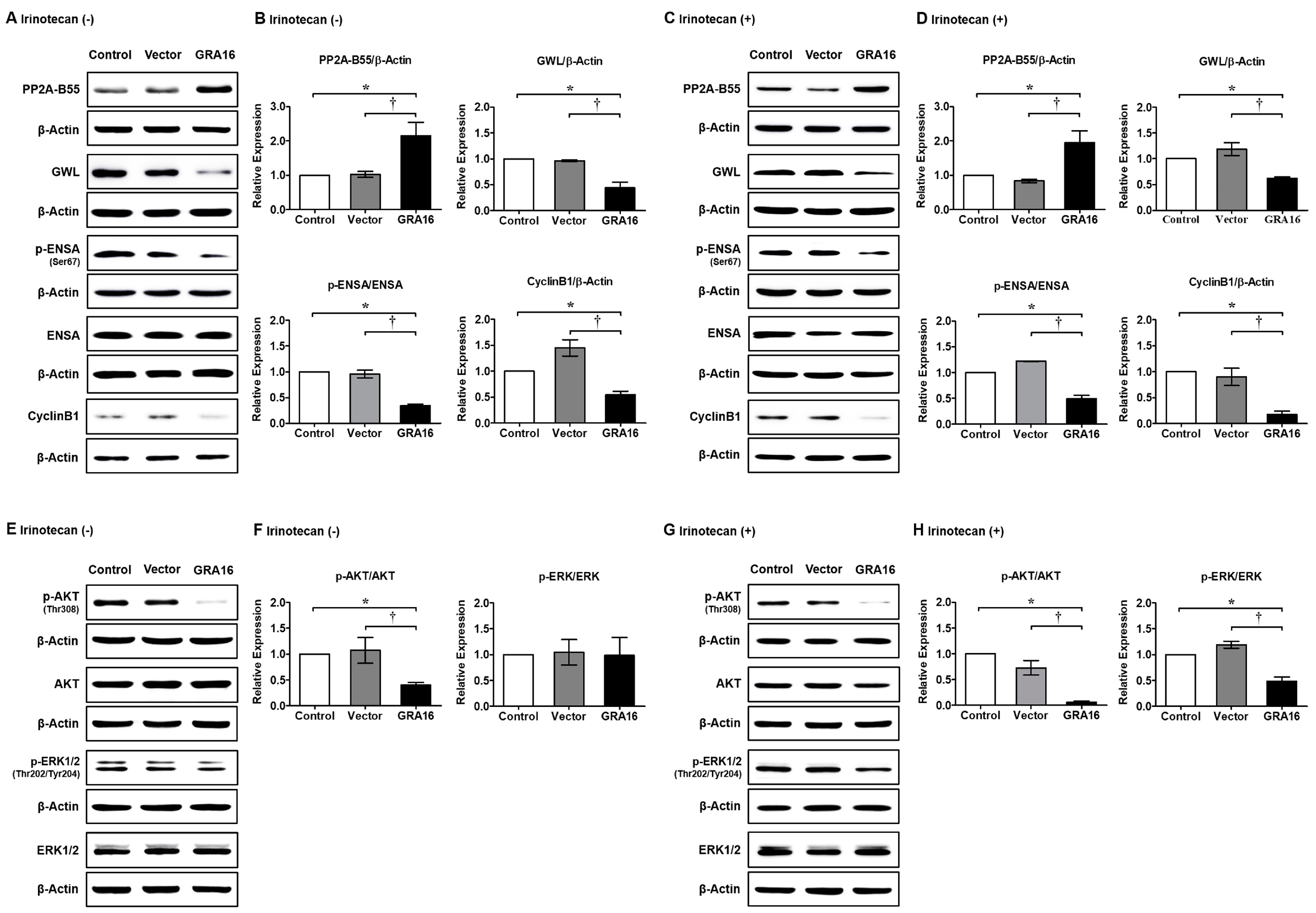 Ijms 21 06642 g003 Ijms 21 06642 g003