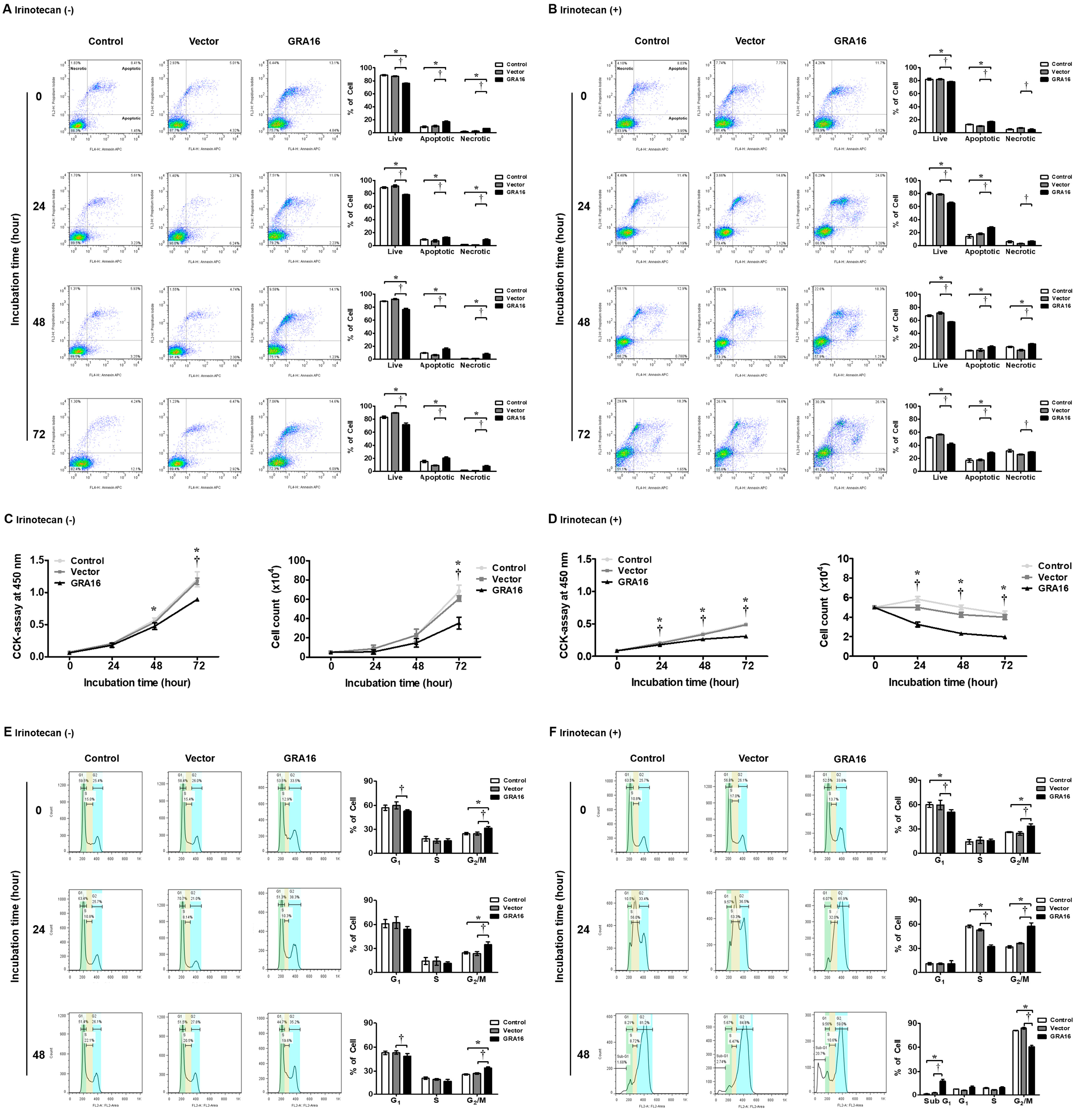 Ijms 21 06642 g004 Ijms 21 06642 g004