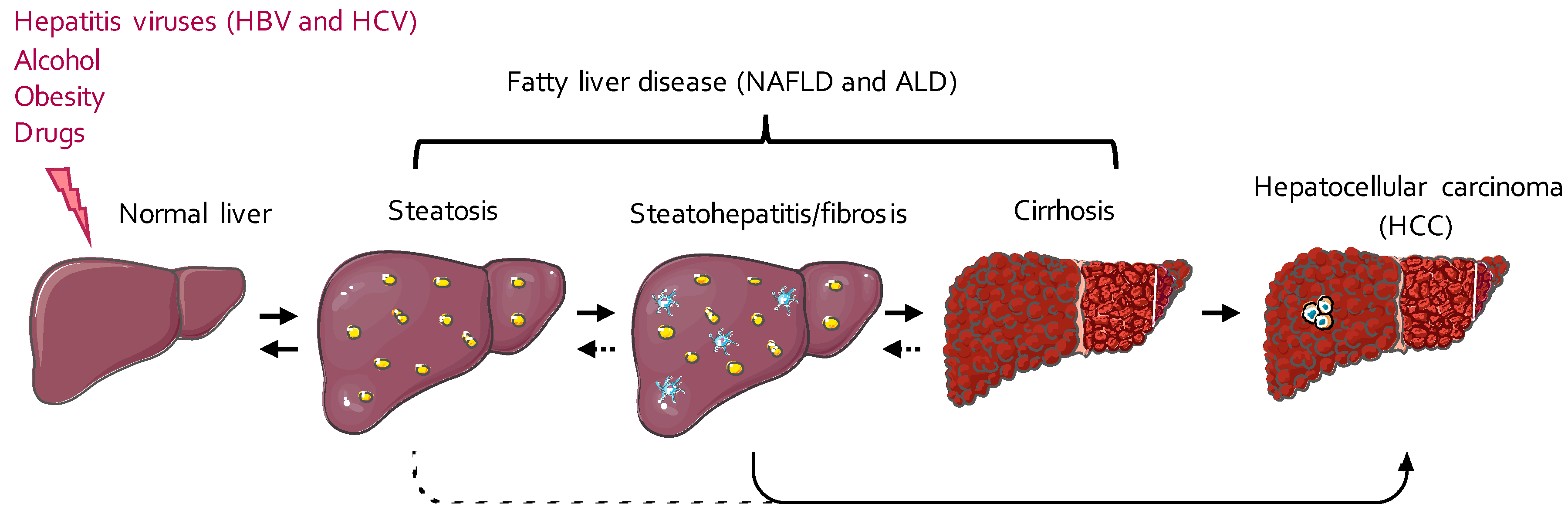 Ijms 21 06648 g001 Ijms 21 06648 g001