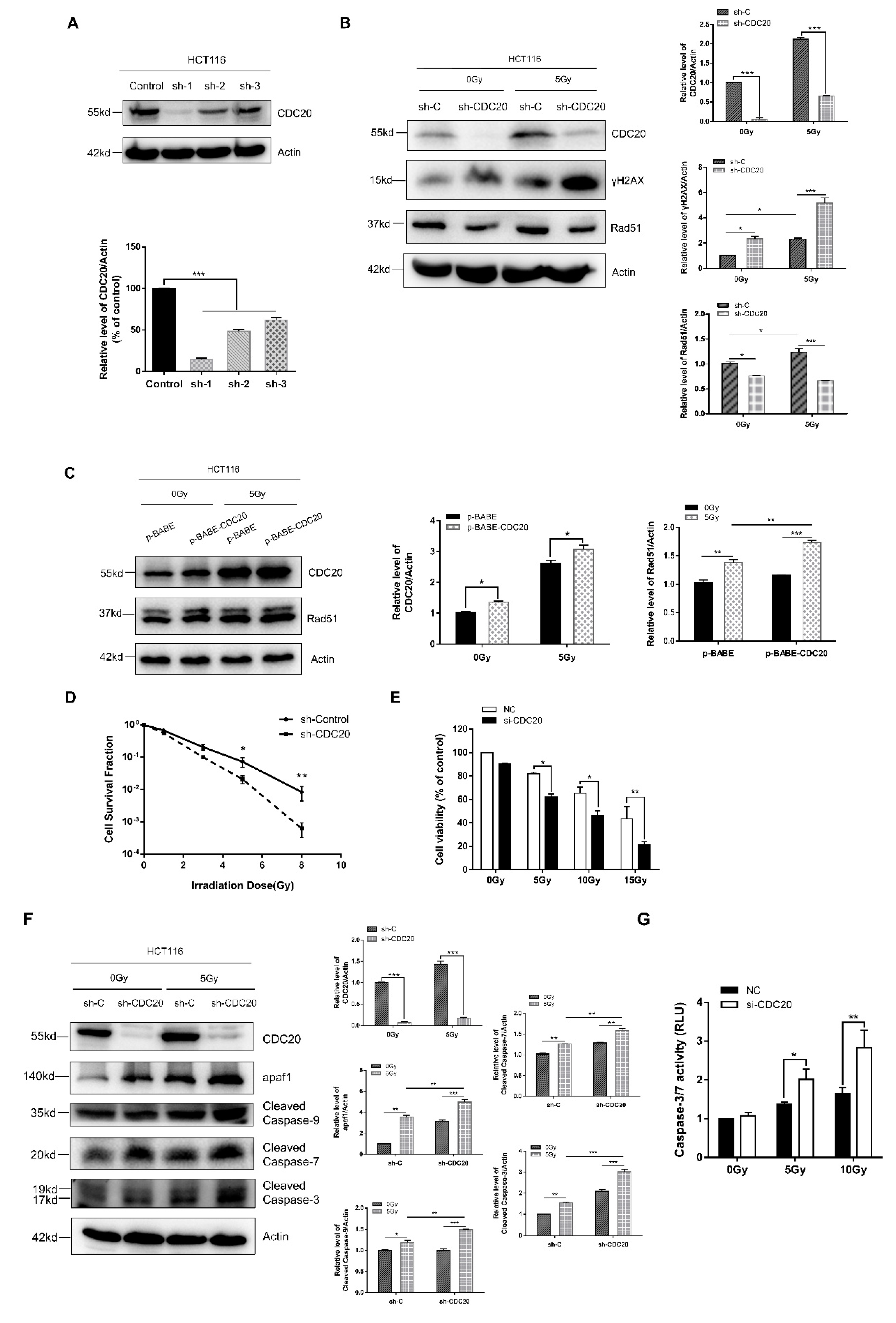Ijms 21 06692 g002a Ijms 21 06692 g002a