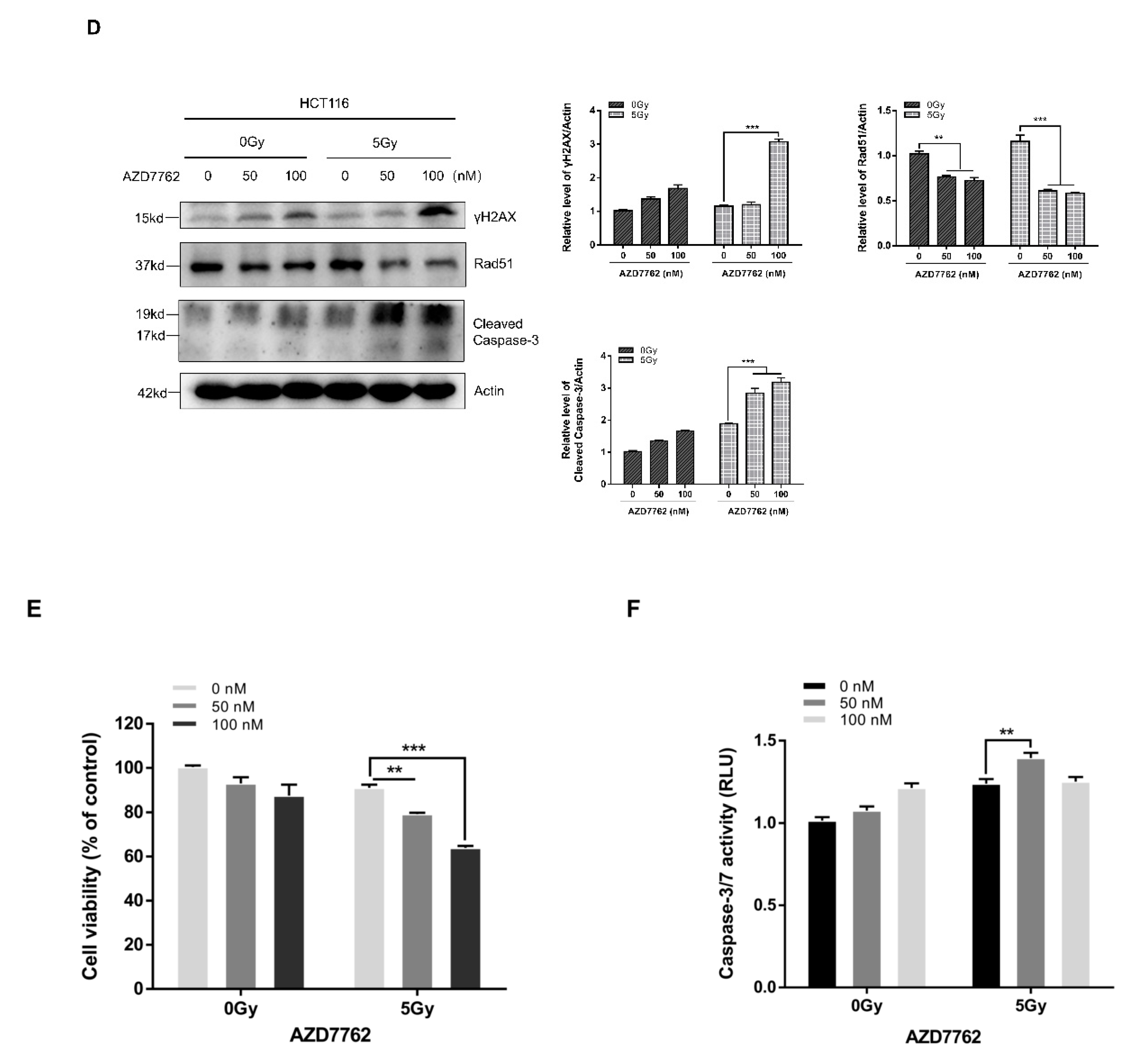 Ijms 21 06692 g004b Ijms 21 06692 g004b