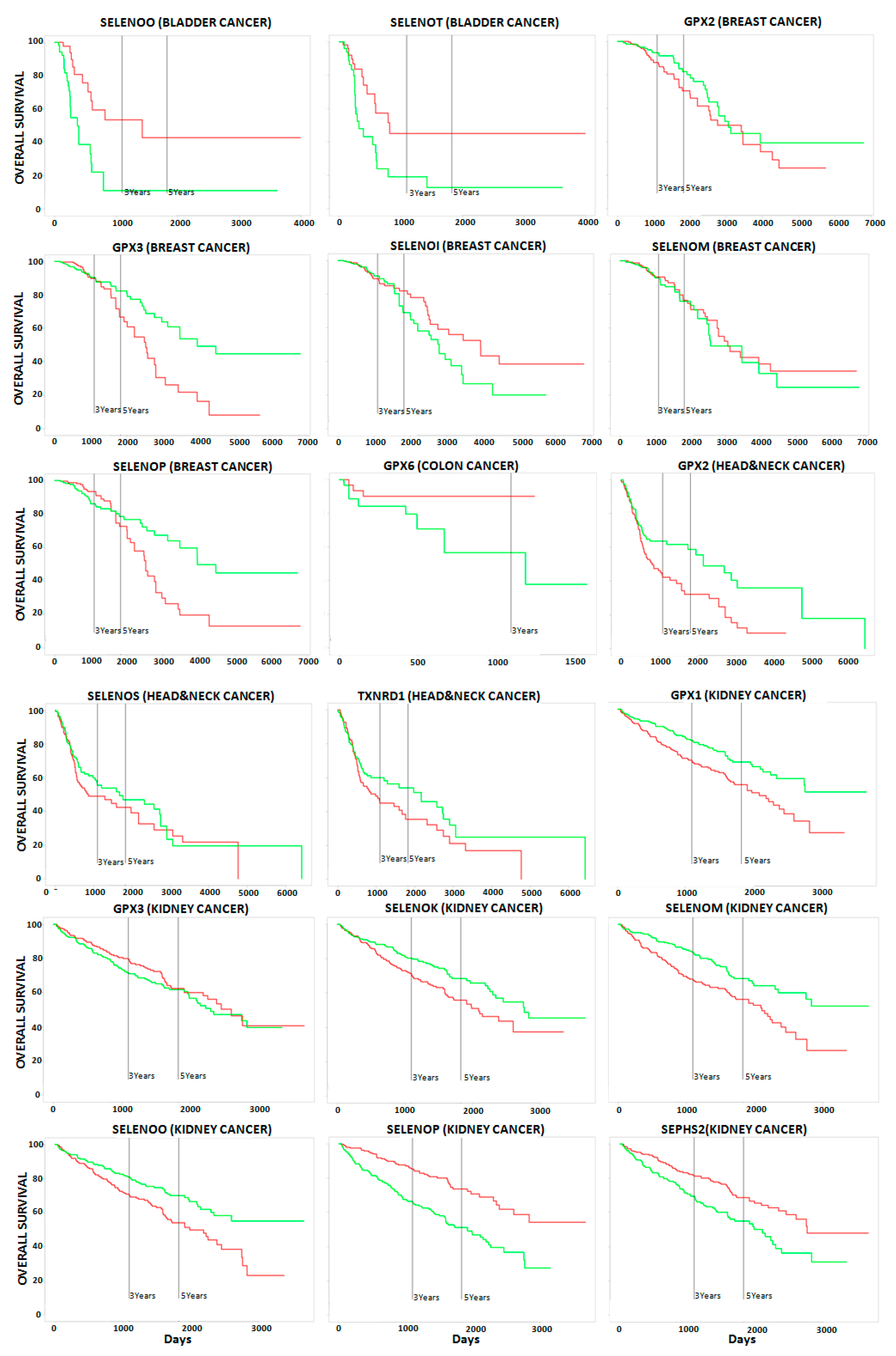 Ijms 21 06694 g003a Ijms 21 06694 g003a