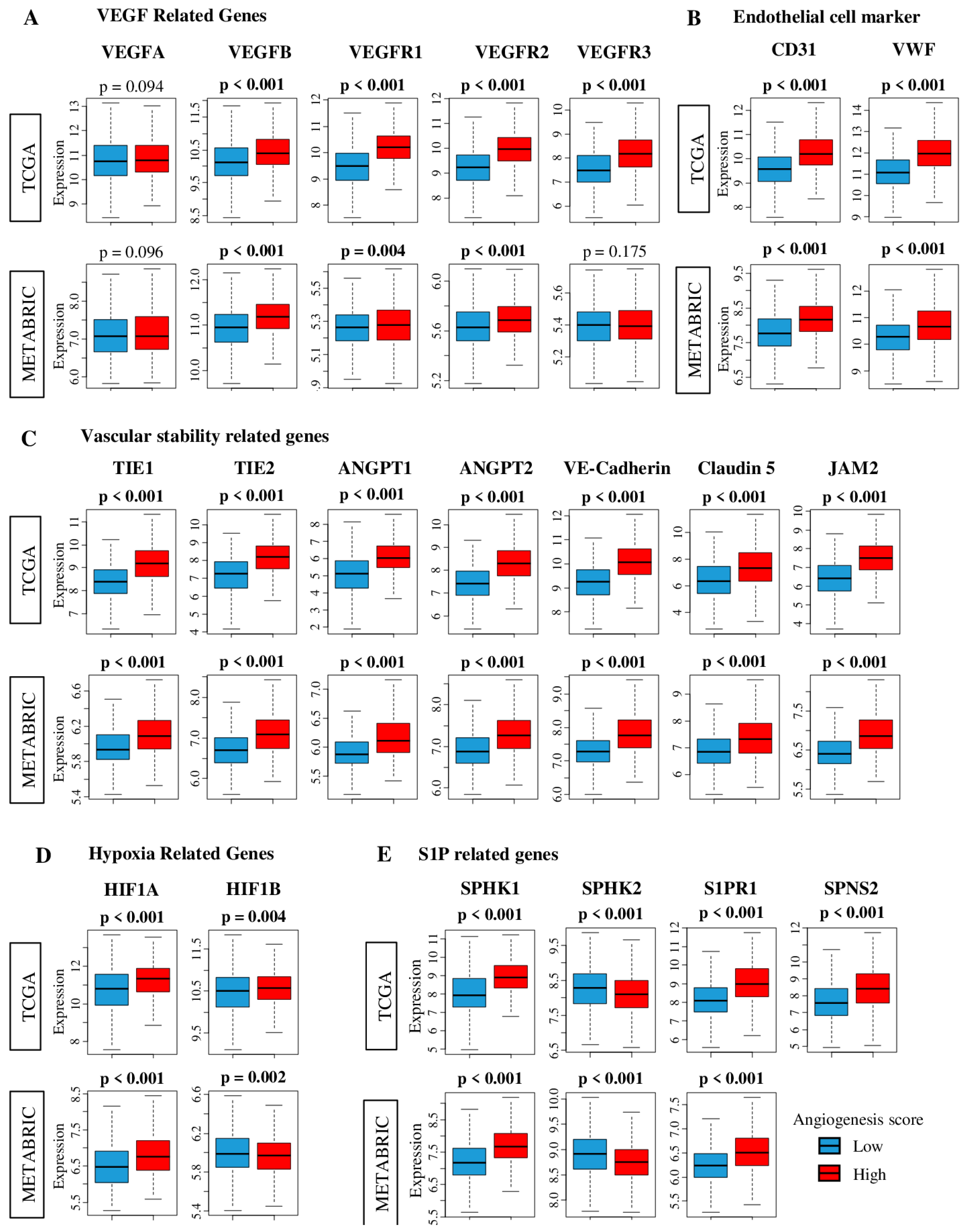 Ijms 21 06708 g001 Ijms 21 06708 g001