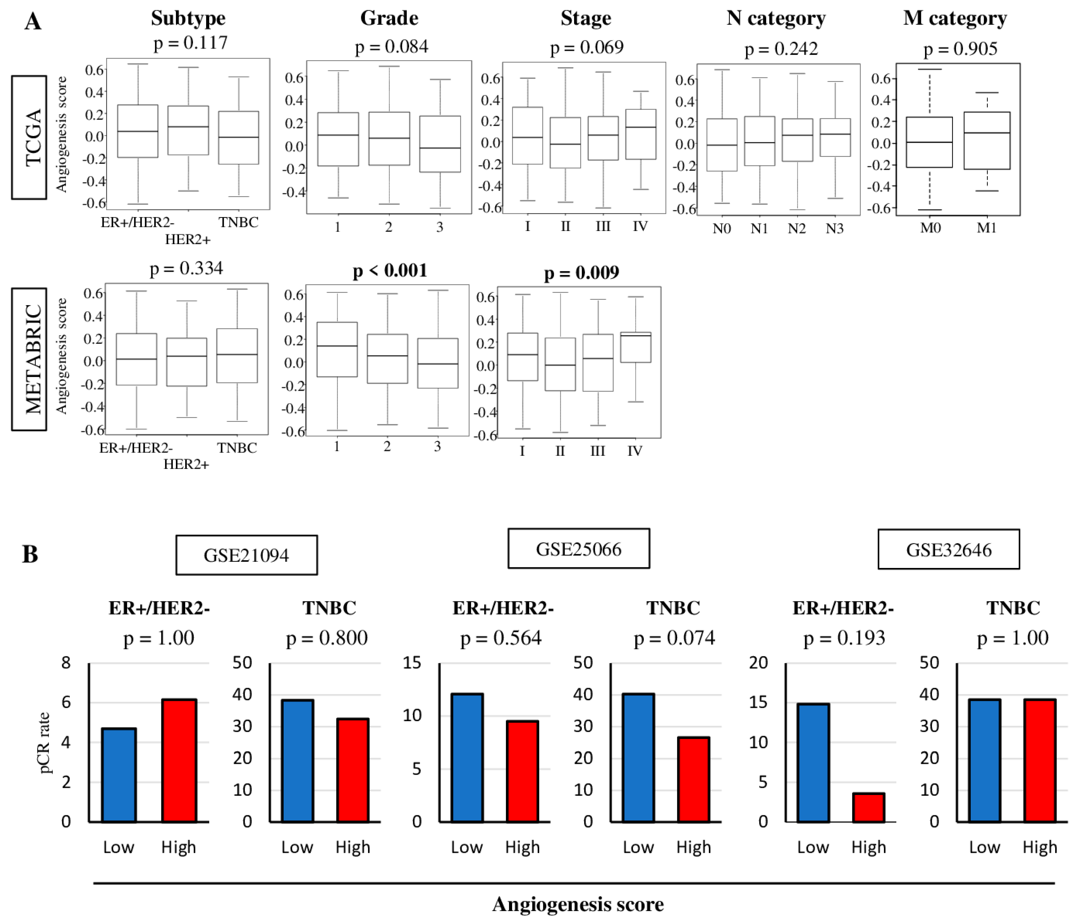 Ijms 21 06708 g002 Ijms 21 06708 g002