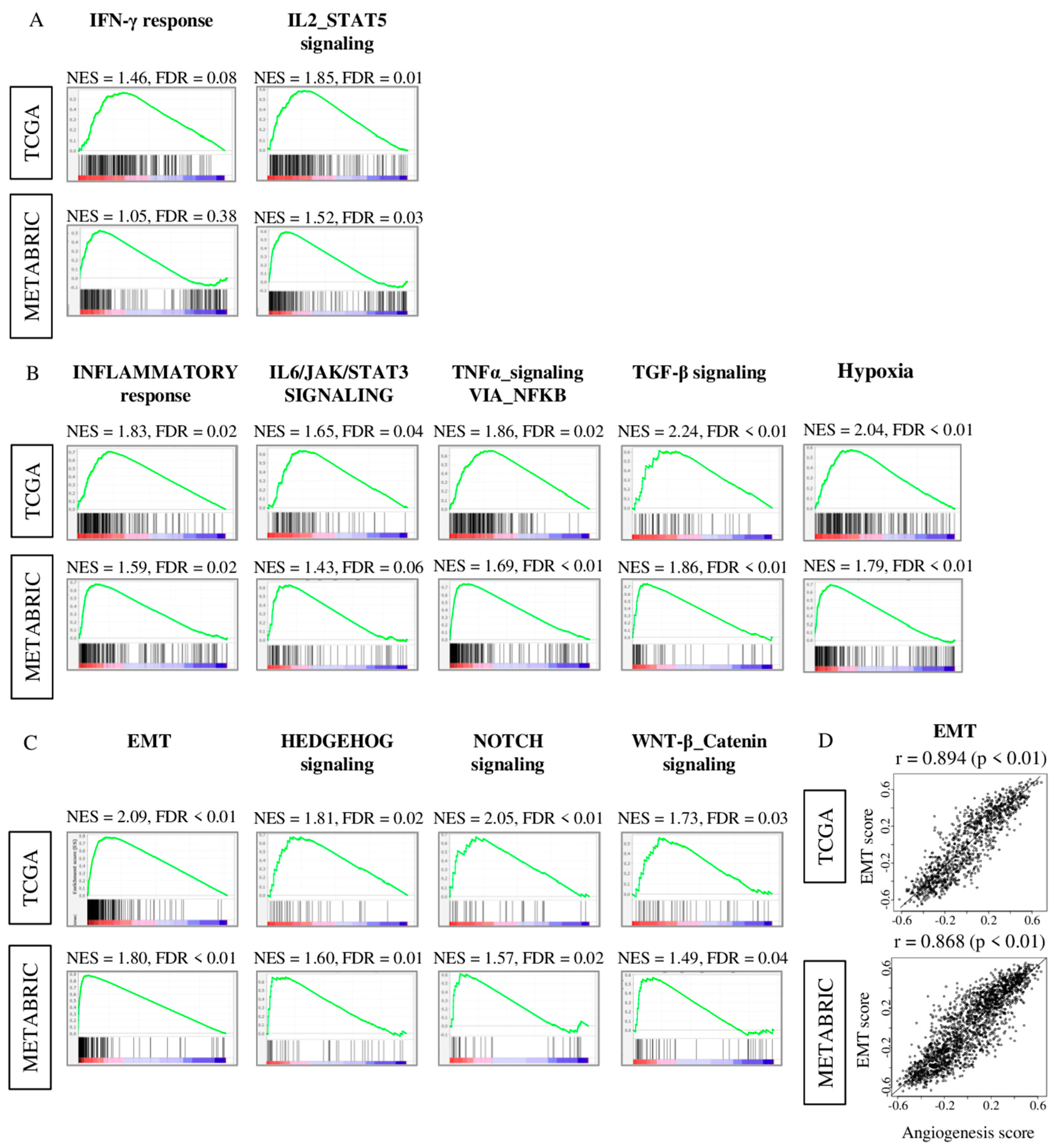 Ijms 21 06708 g005 Ijms 21 06708 g005