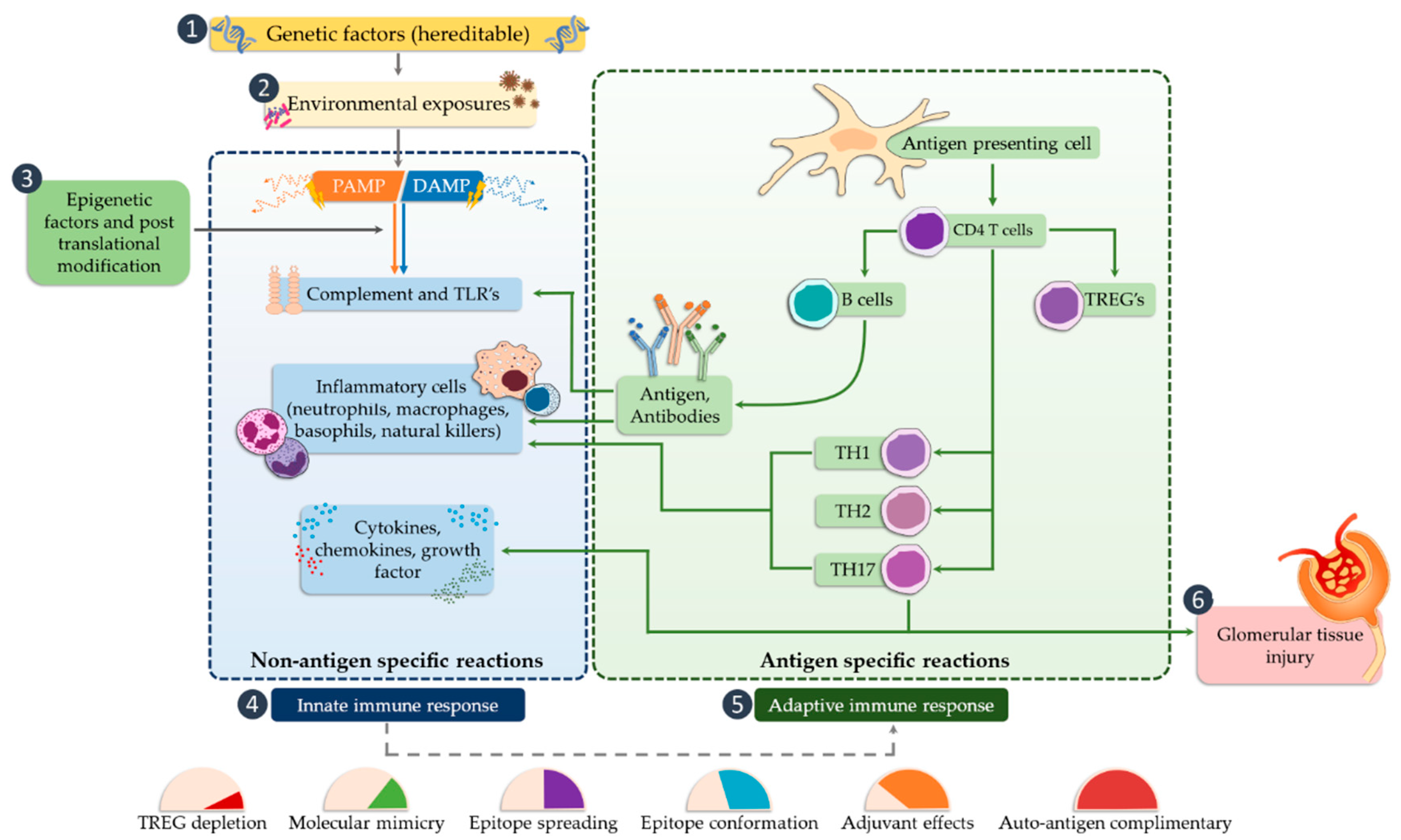 Ijms 21 06712 g004 Ijms 21 06712 g004