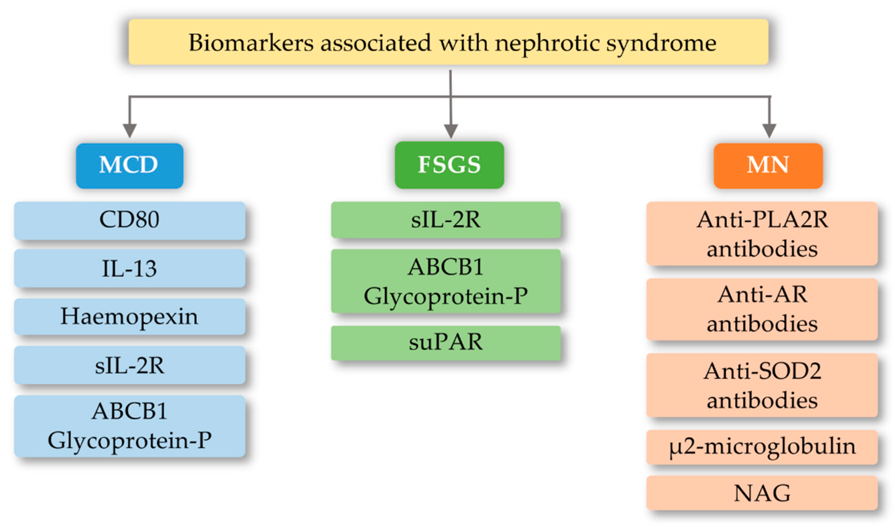 Ijms 21 06712 g005 Ijms 21 06712 g005