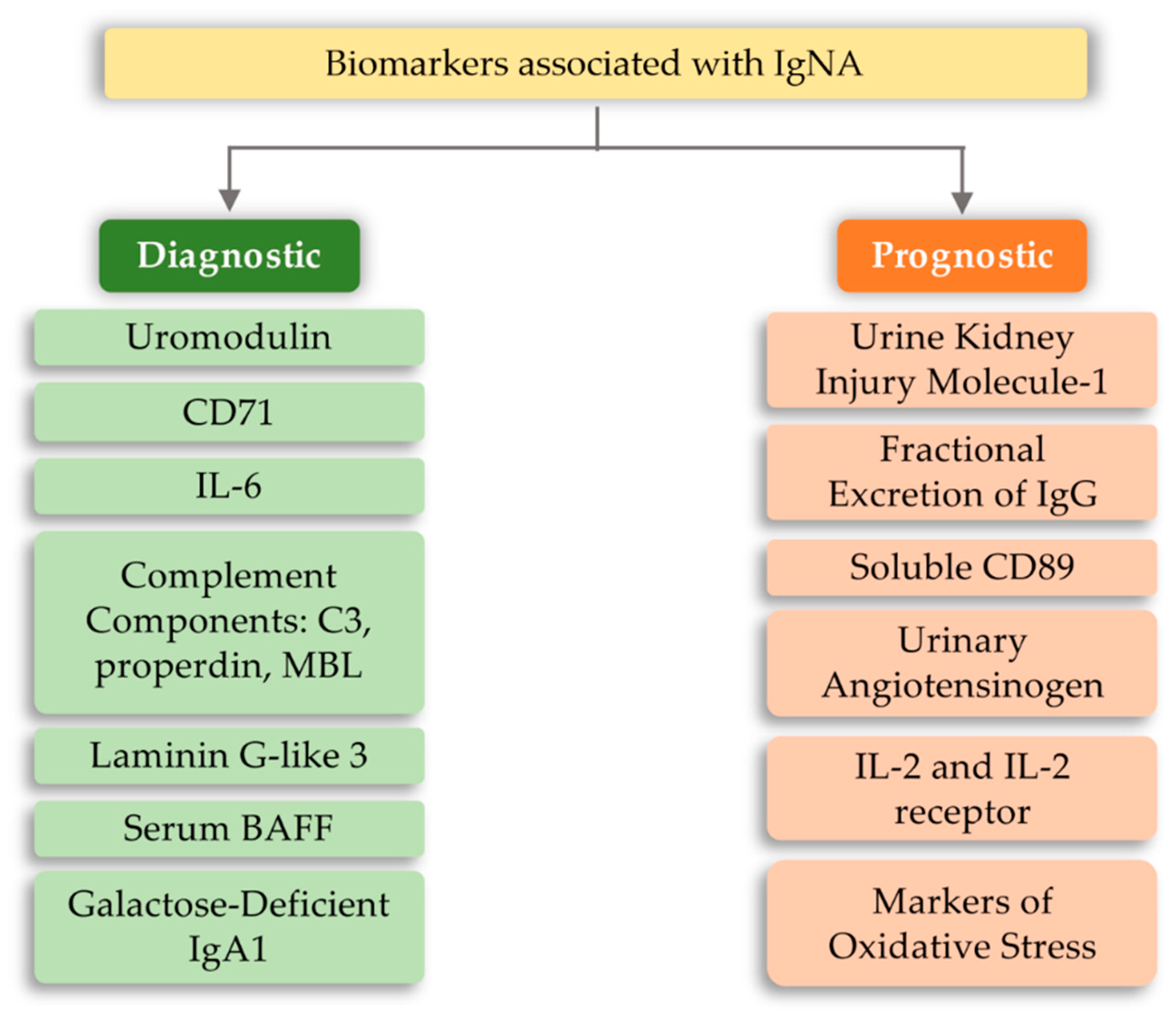 Ijms 21 06712 g006 Ijms 21 06712 g006