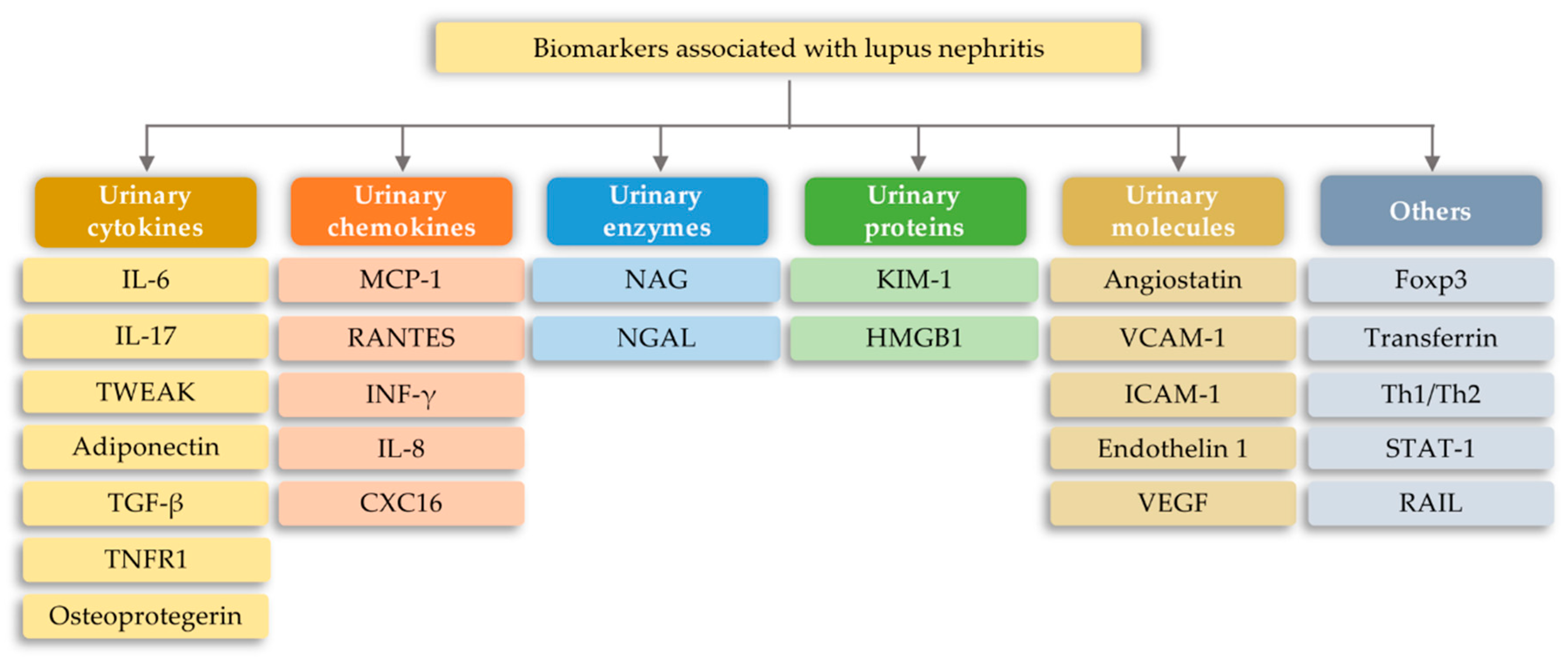 Ijms 21 06712 g007 Ijms 21 06712 g007