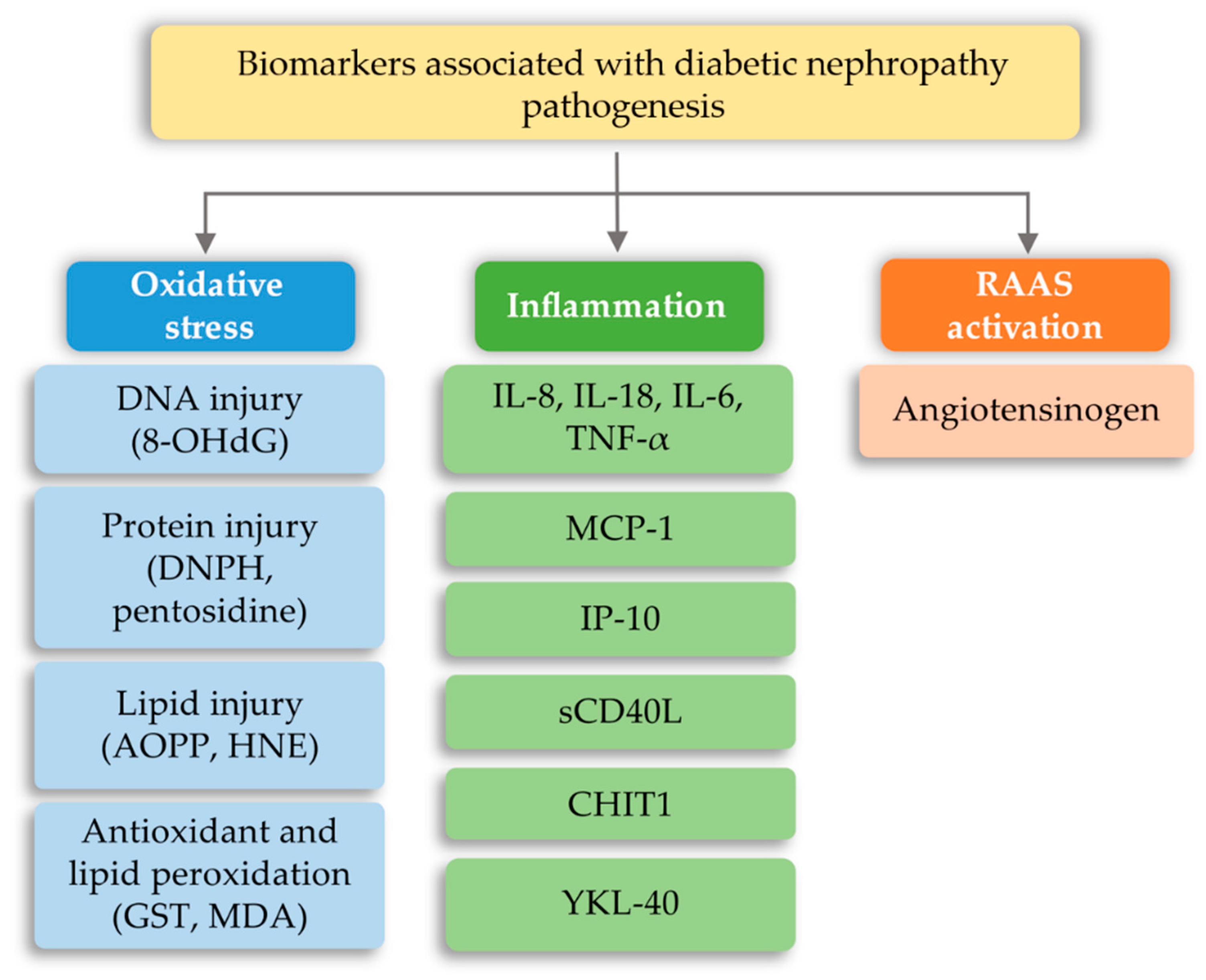 Ijms 21 06712 g008 Ijms 21 06712 g008