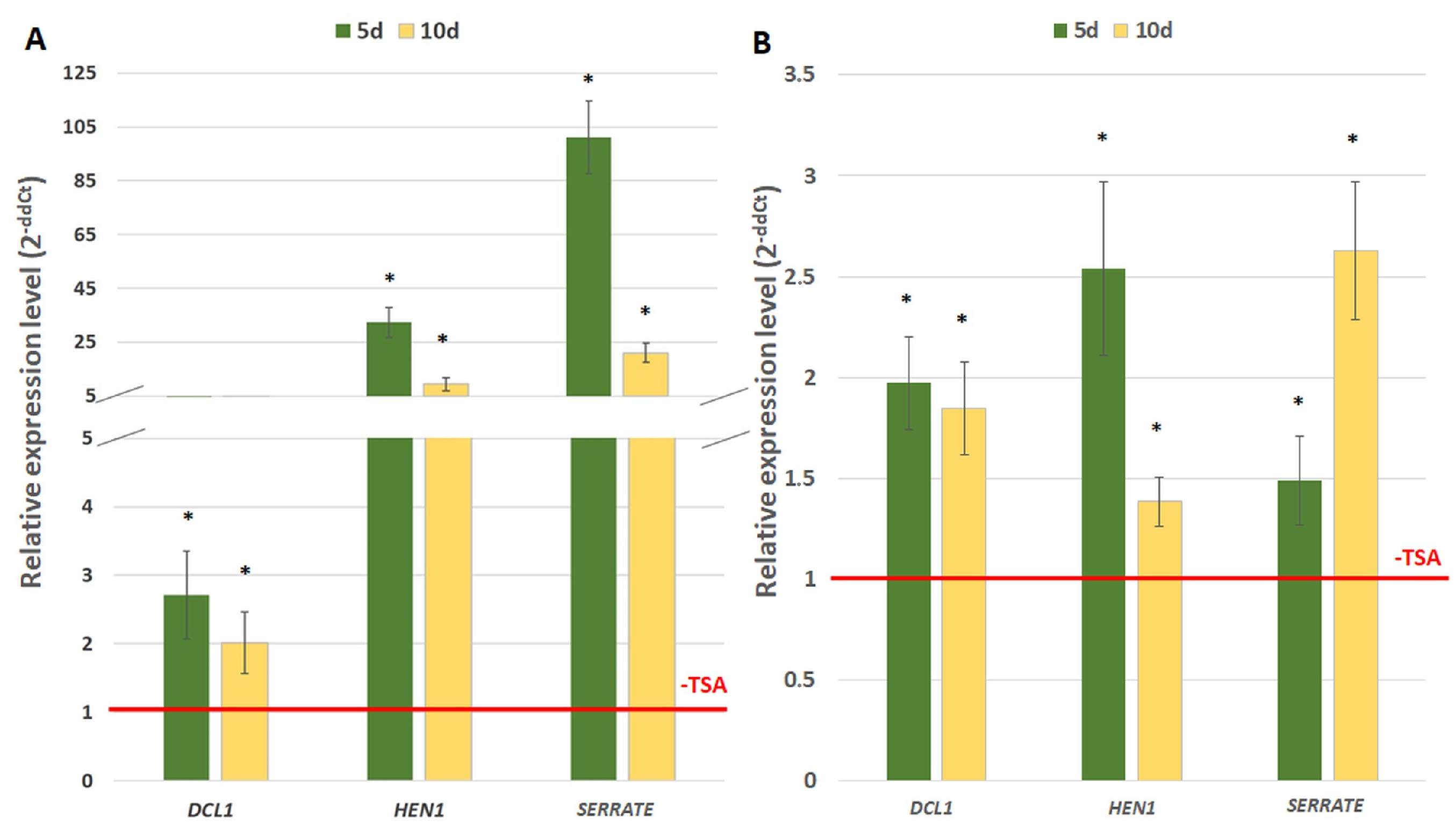 Ijms 21 06733 g004 Ijms 21 06733 g004