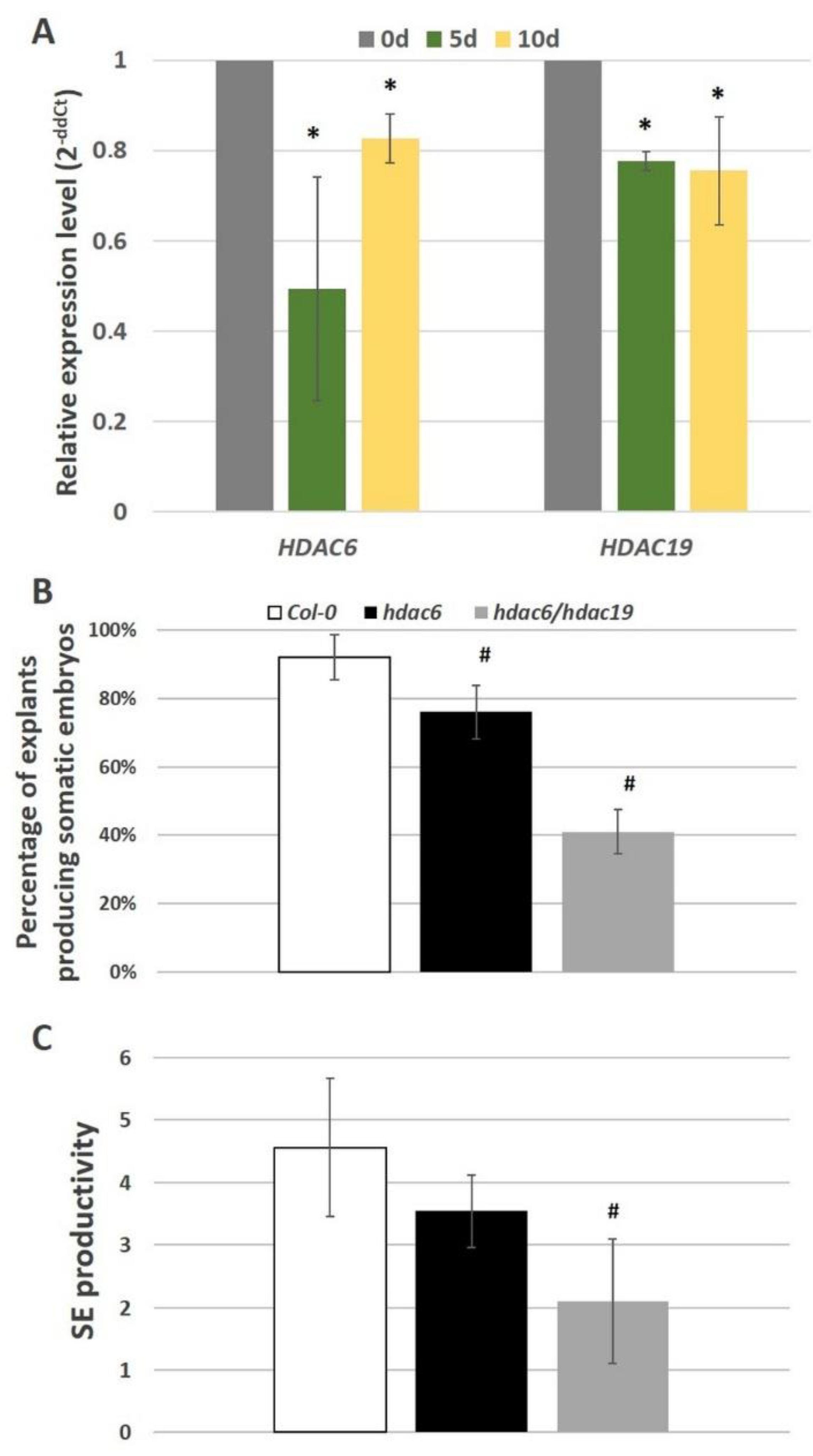Ijms 21 06733 g005 Ijms 21 06733 g005