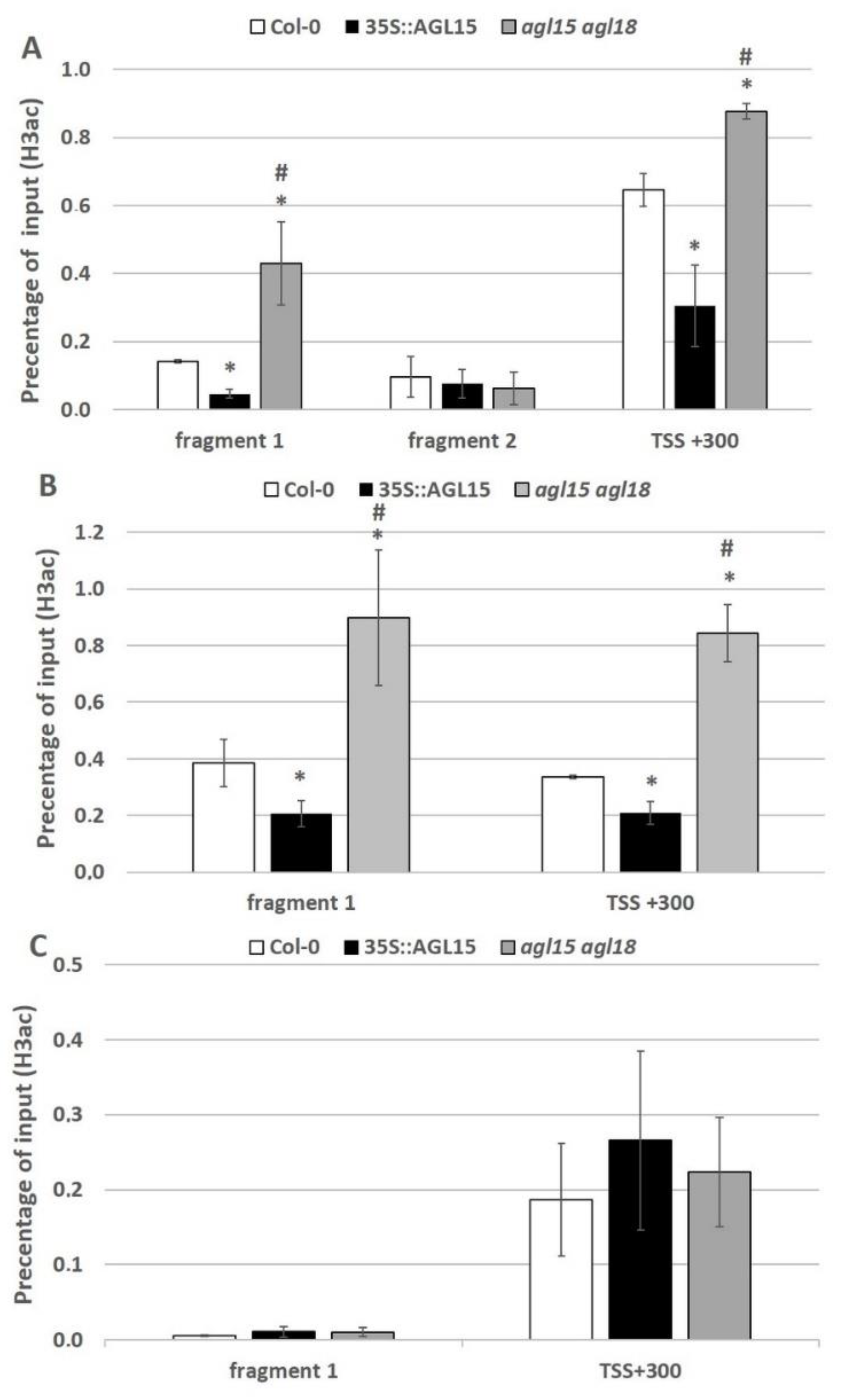 Ijms 21 06733 g007 Ijms 21 06733 g007