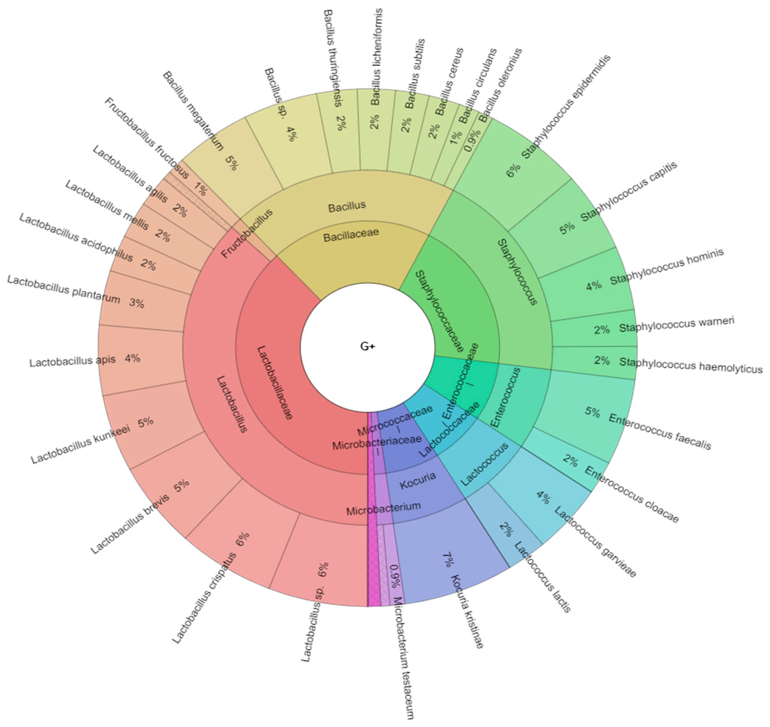 Ijms 21 06736 g003 Ijms 21 06736 g003