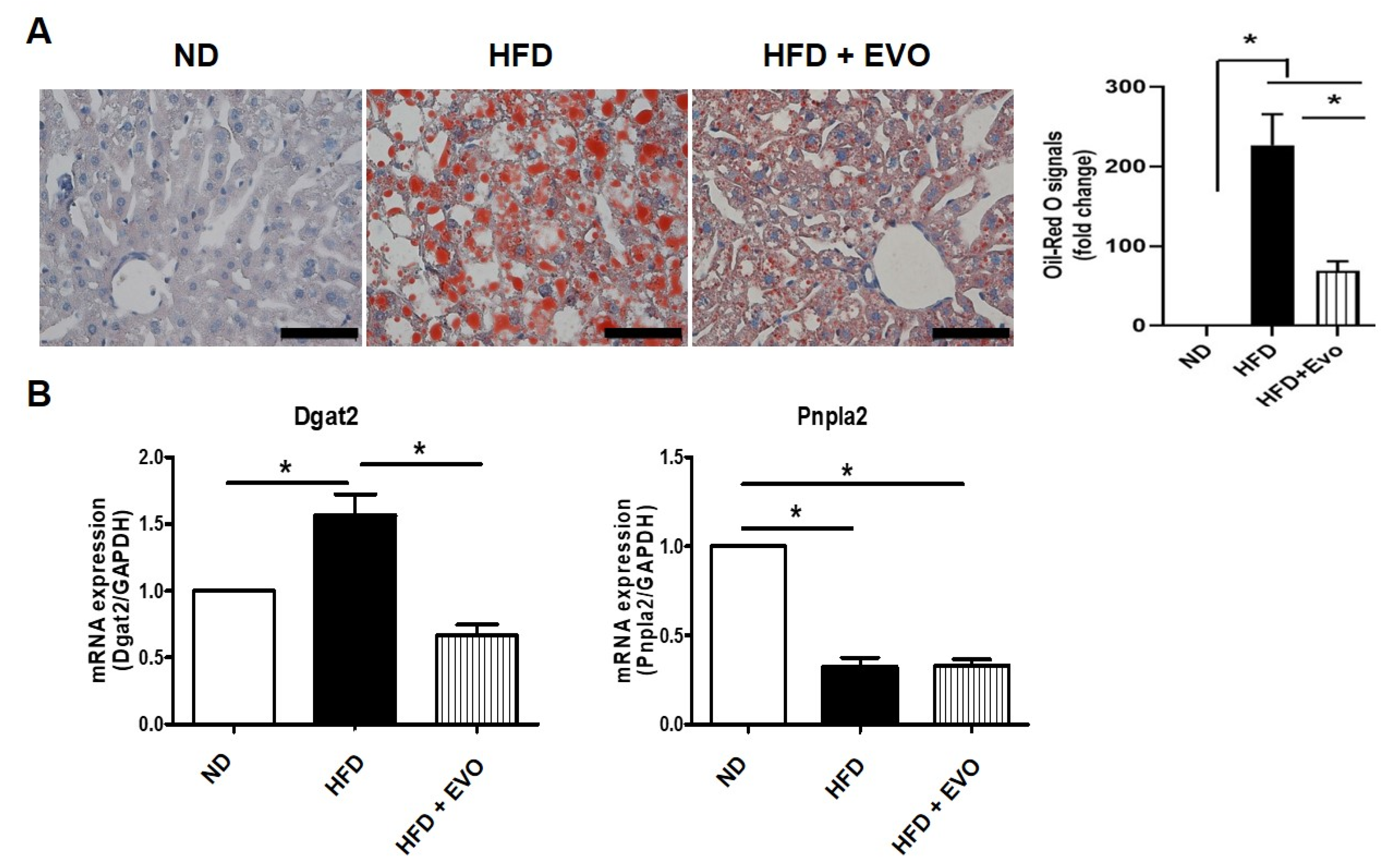 Ijms 21 06743 g002 Ijms 21 06743 g002