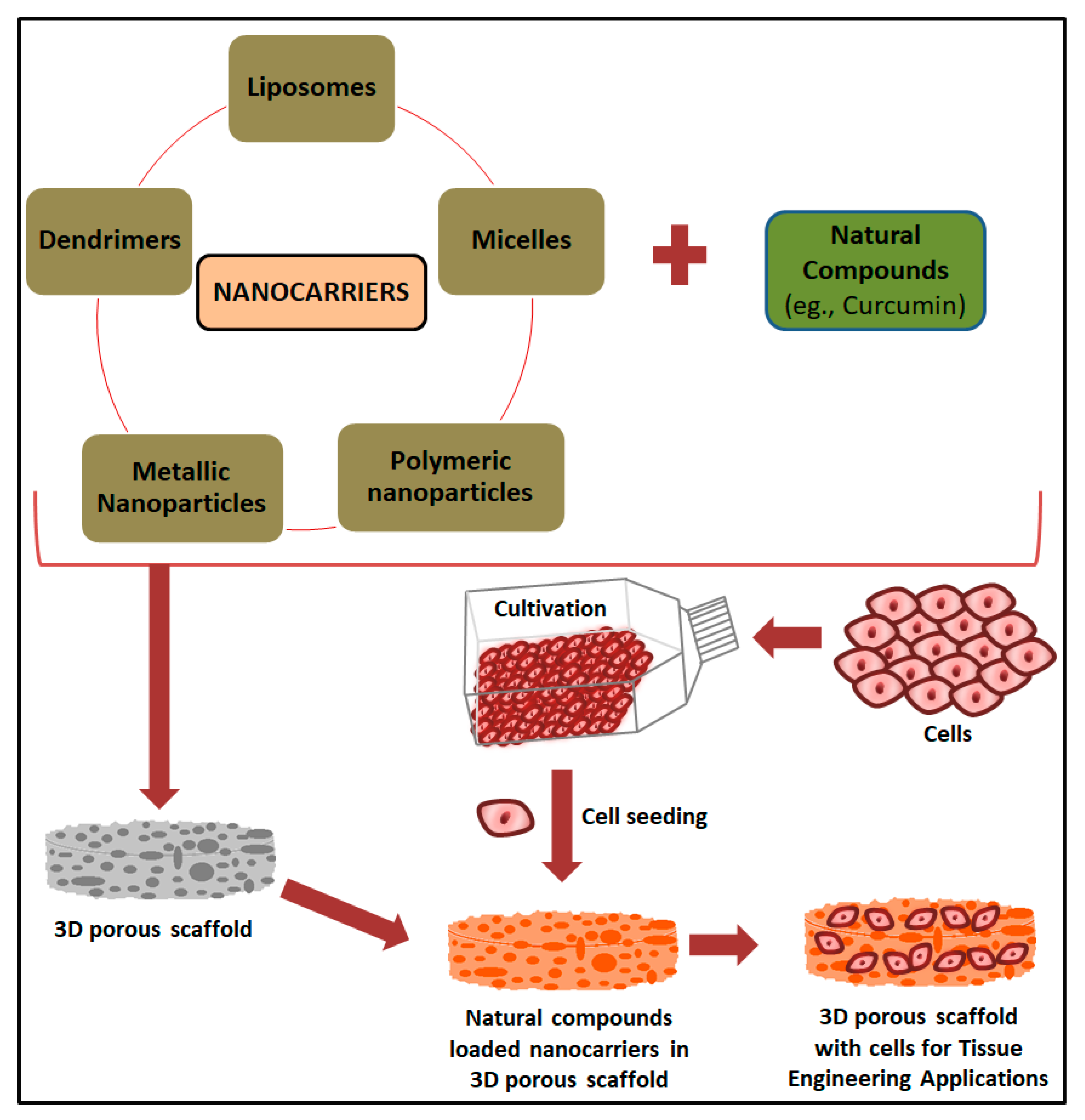 Ijms 21 06752 g003 Ijms 21 06752 g003