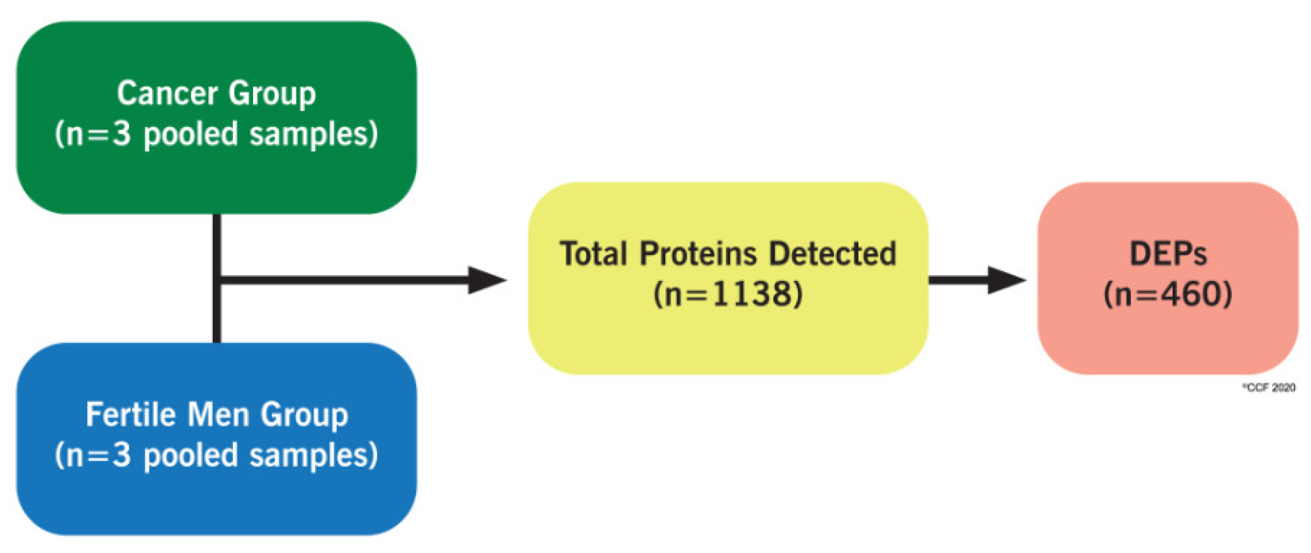 Ijms 21 06754 g001 Ijms 21 06754 g001