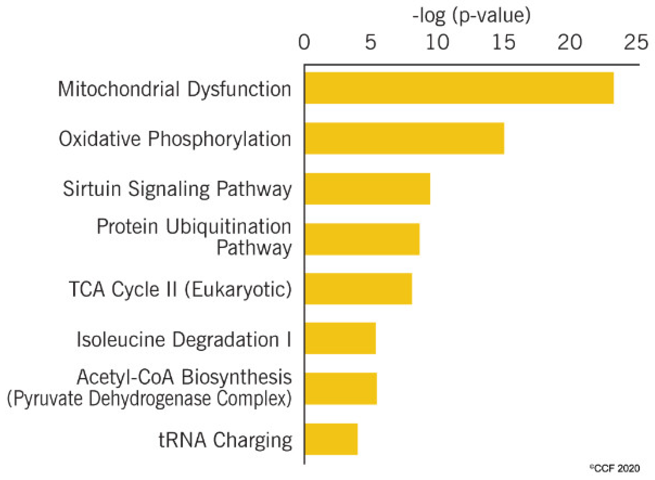 Ijms 21 06754 g003 Ijms 21 06754 g003