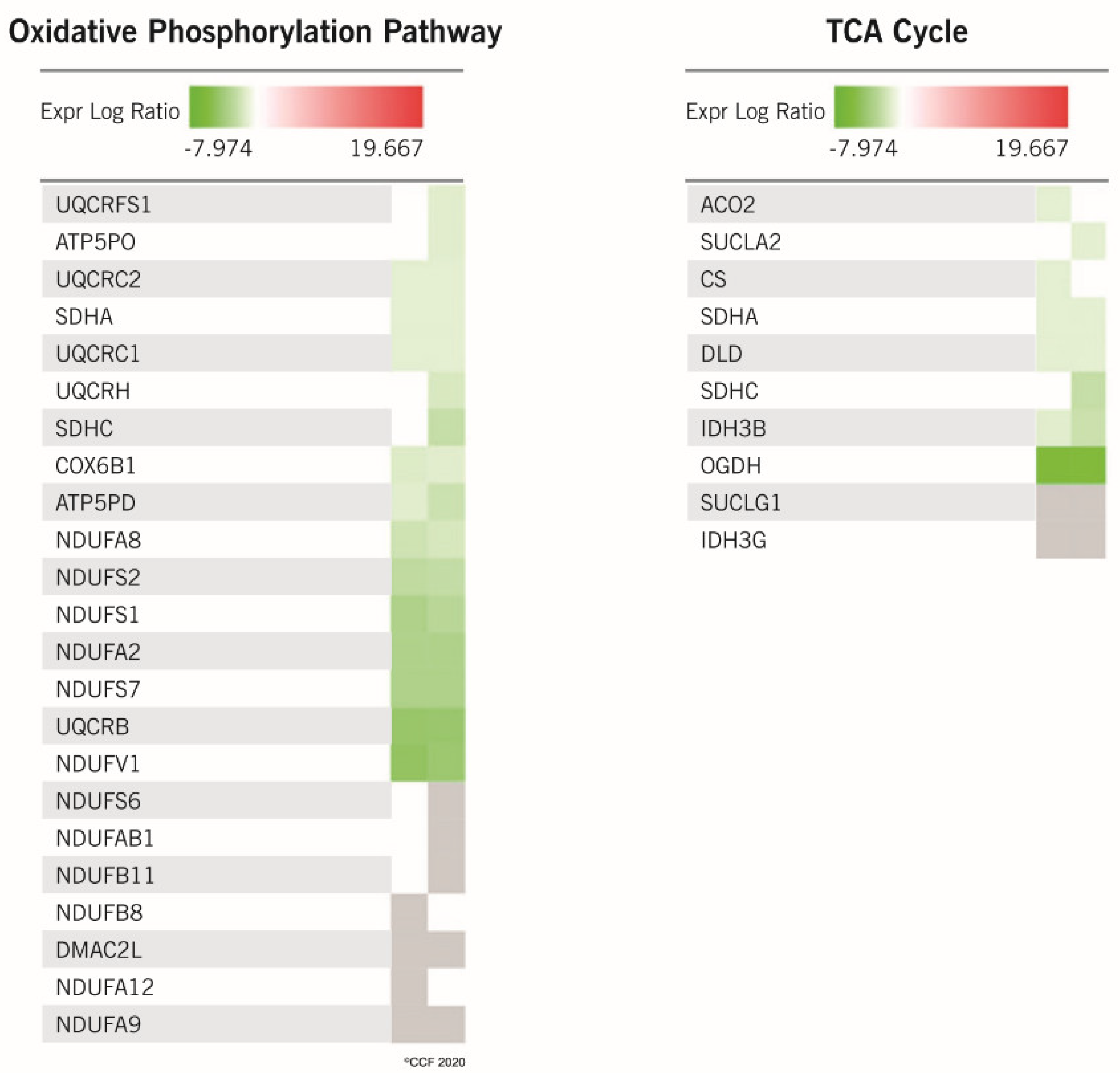 Ijms 21 06754 g004 Ijms 21 06754 g004
