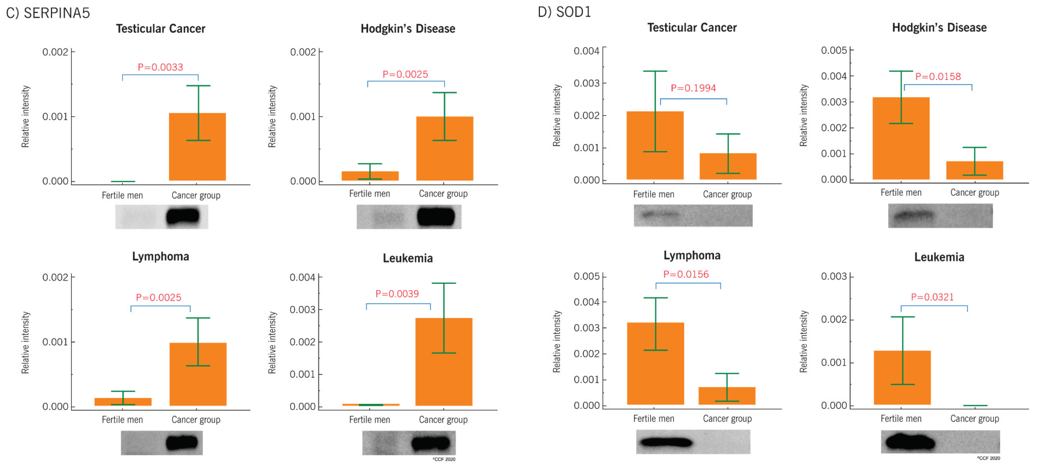 Ijms 21 06754 g006b Ijms 21 06754 g006b