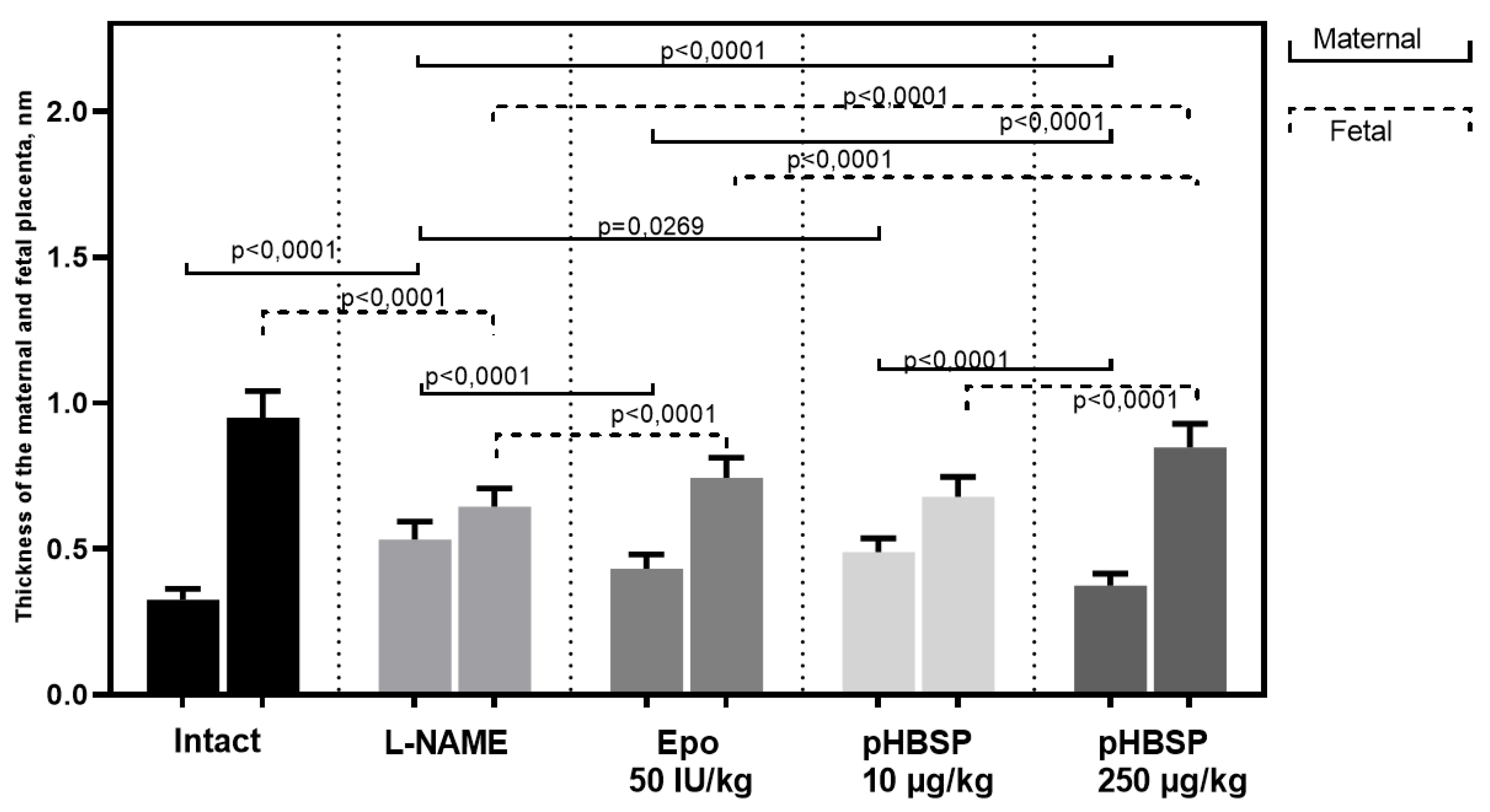 Ijms 21 06759 g011 Ijms 21 06759 g011