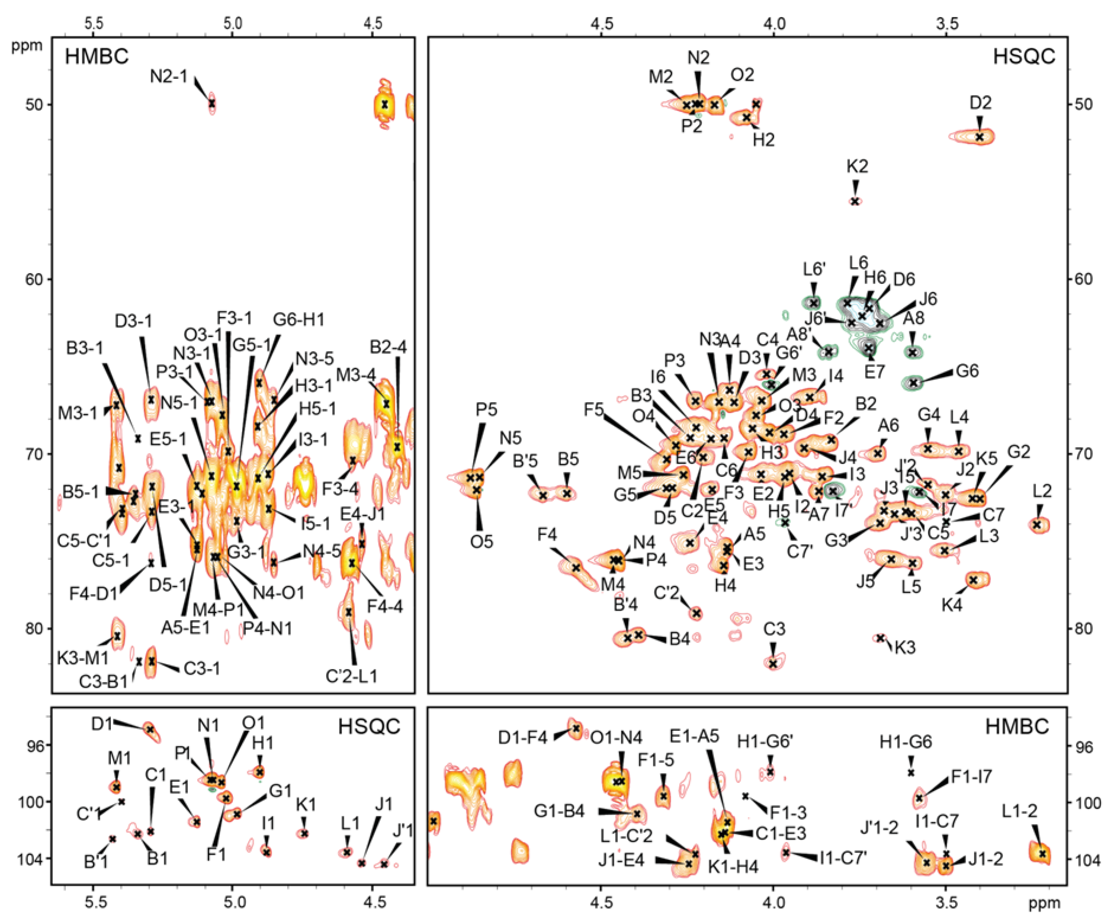 Ijms 21 06788 g002 Ijms 21 06788 g002