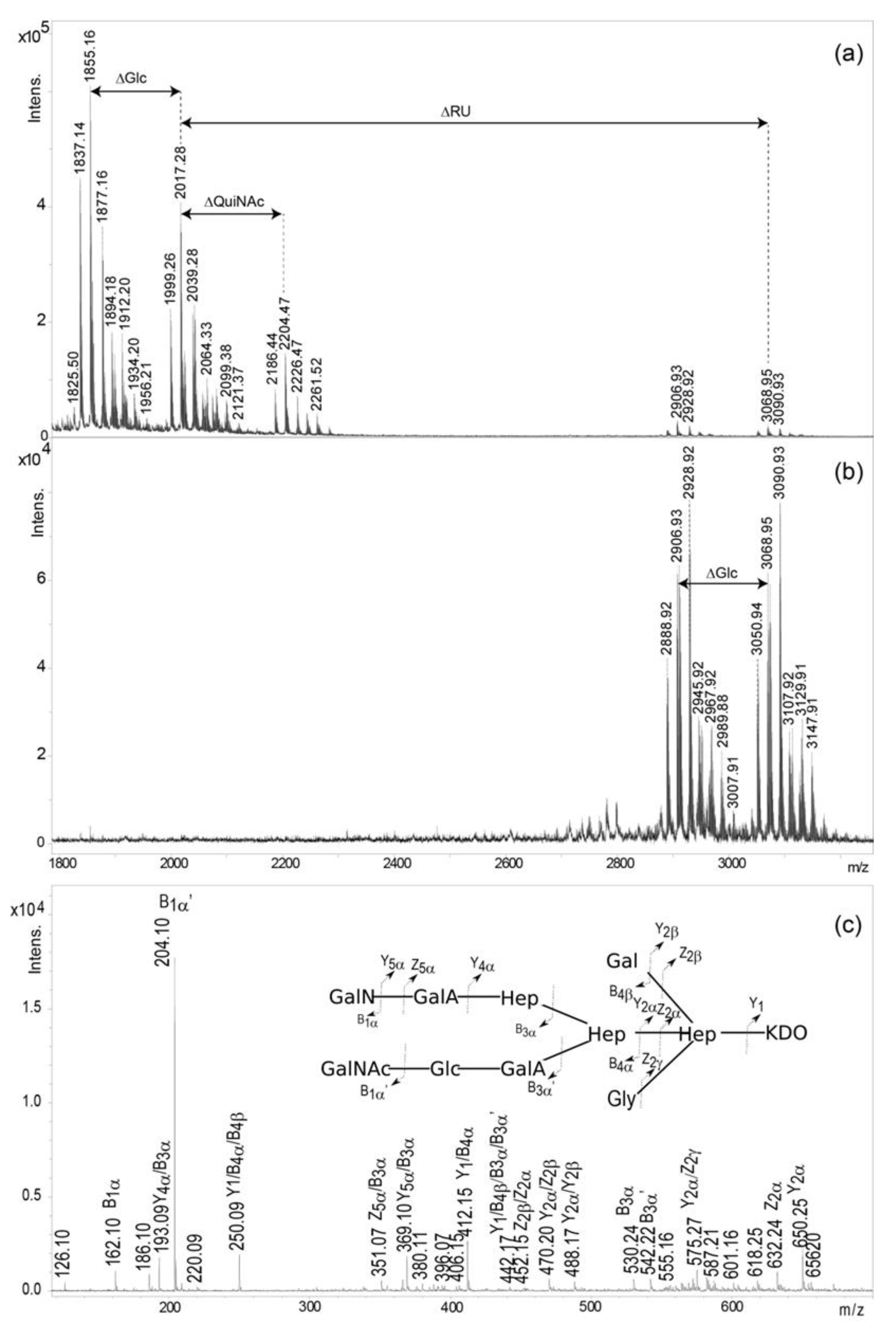 Ijms 21 06788 g003 Ijms 21 06788 g003