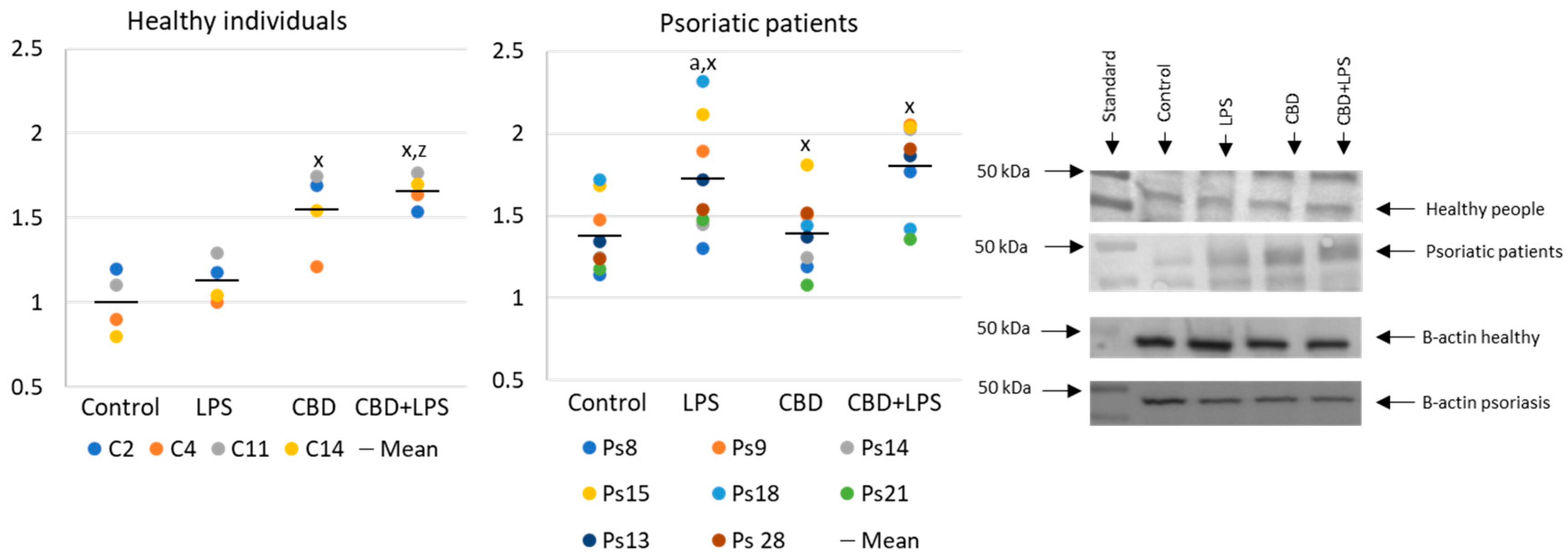 Ijms 21 06795 g002 Ijms 21 06795 g002