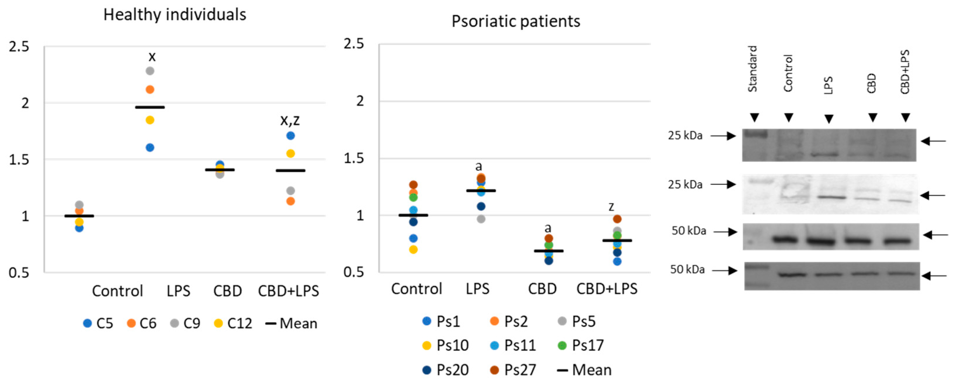 Ijms 21 06795 g004 Ijms 21 06795 g004