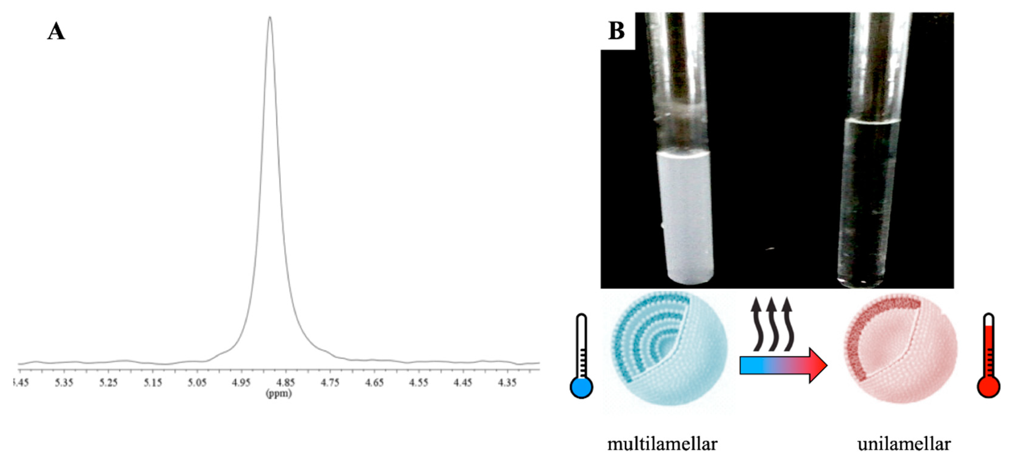 Ijms 21 06804 g001 Ijms 21 06804 g001