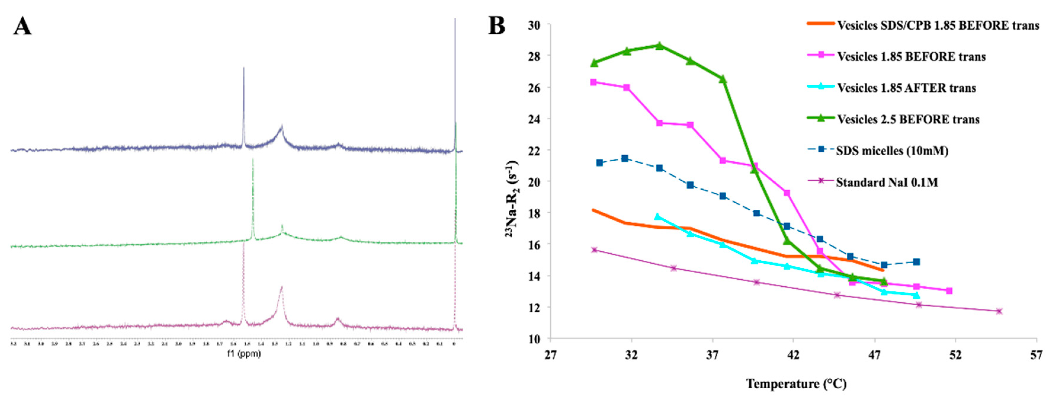 Ijms 21 06804 g011 Ijms 21 06804 g011