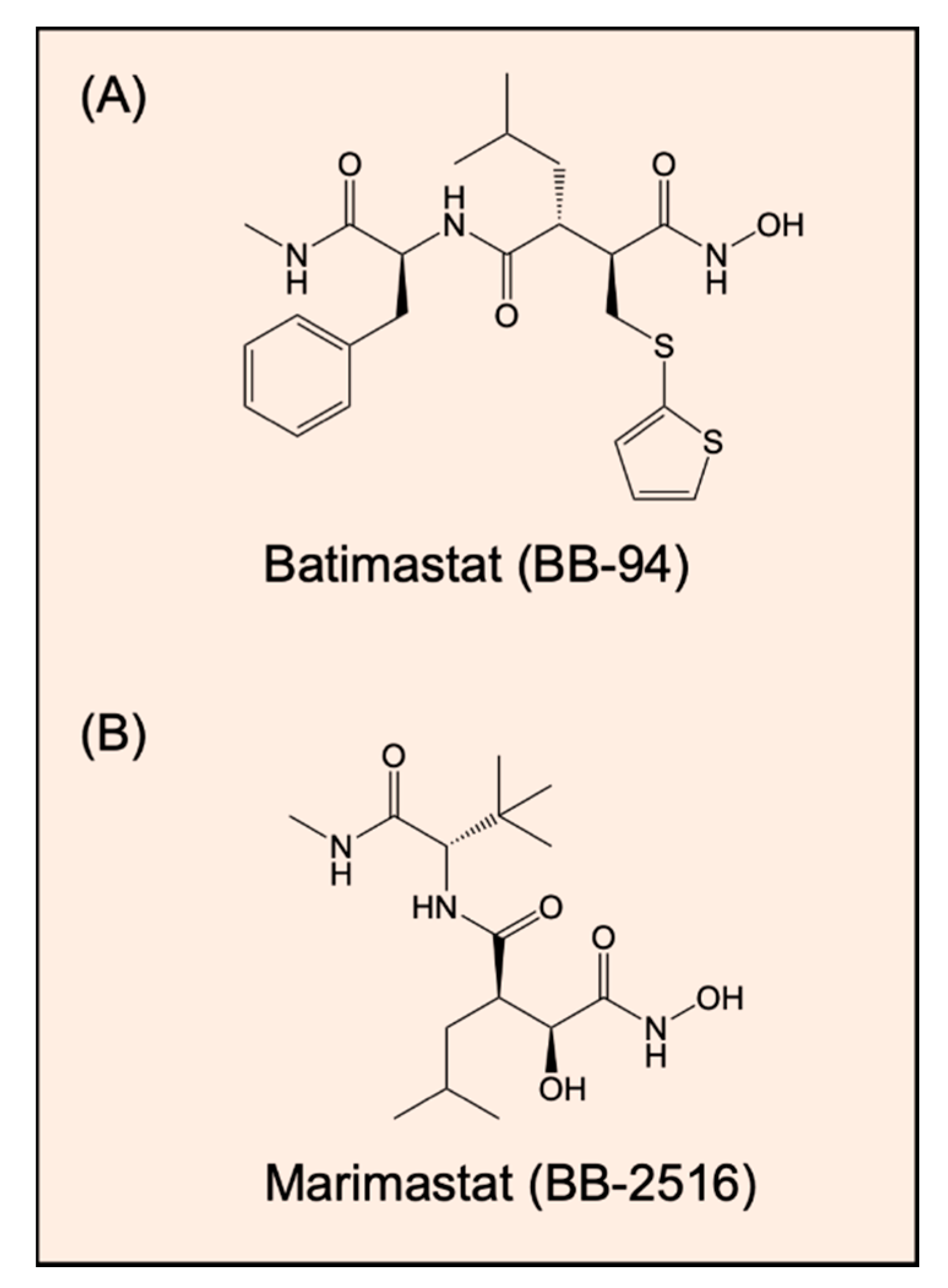 Ijms 21 06805 g002 Ijms 21 06805 g002