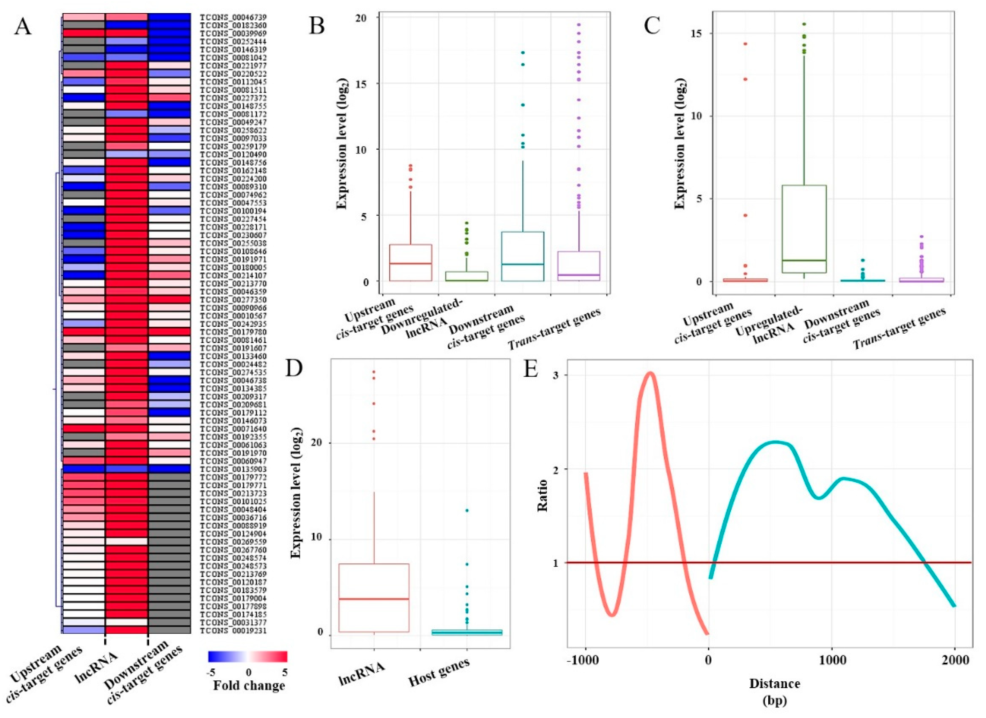 Ijms 21 06808 g002 Ijms 21 06808 g002