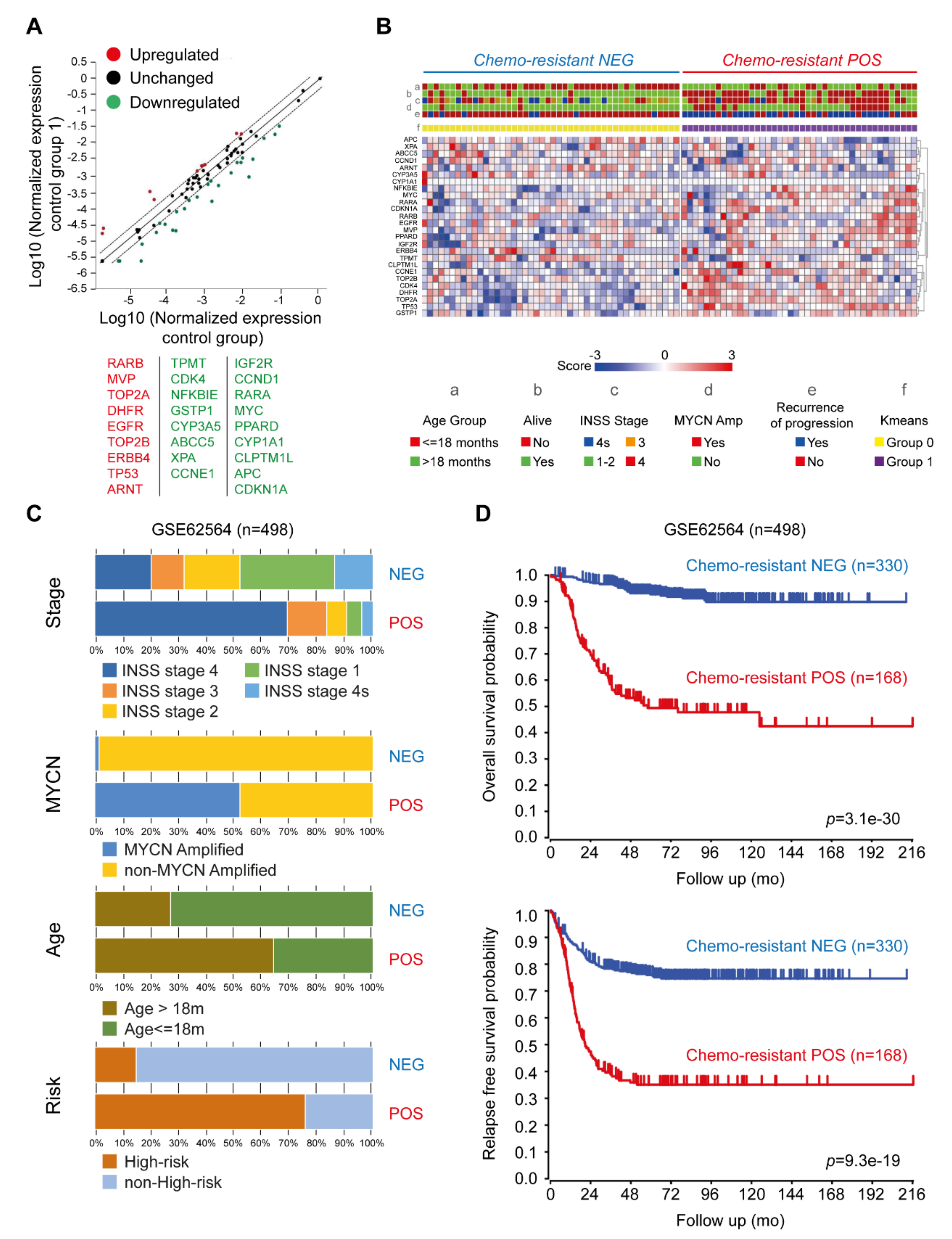 Ijms 21 06811 g004 Ijms 21 06811 g004