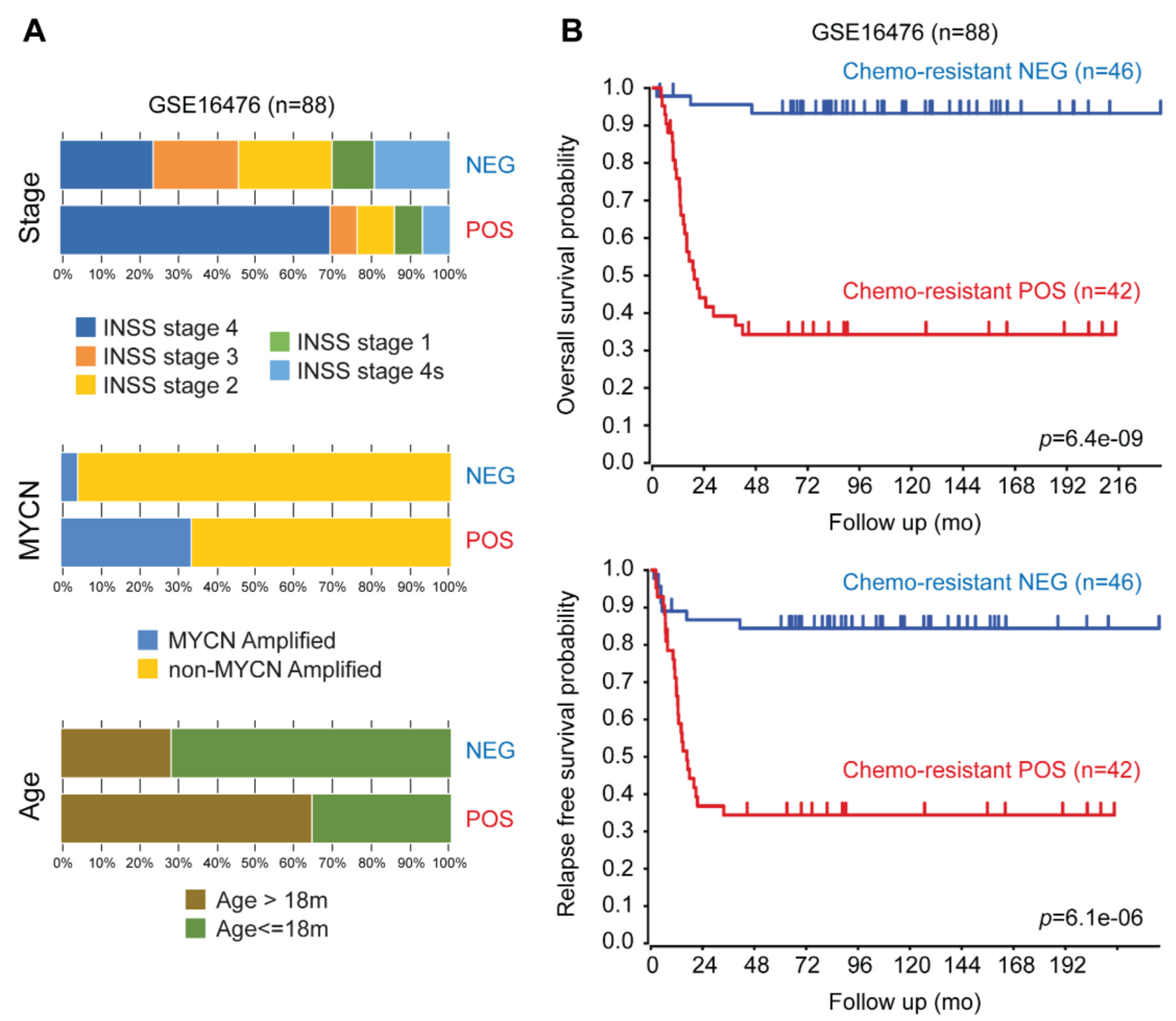 Ijms 21 06811 g005 Ijms 21 06811 g005