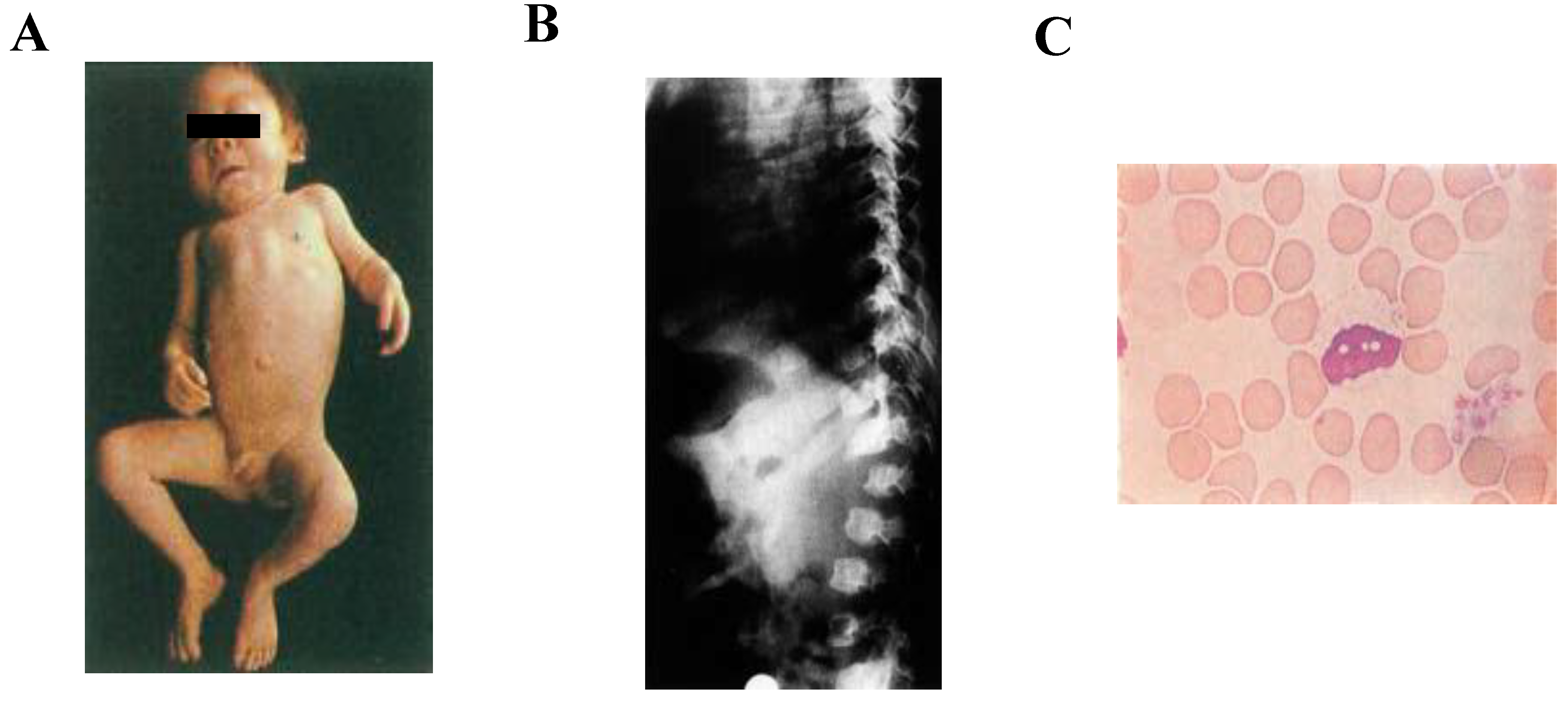 Ijms 21 06812 g001 Ijms 21 06812 g001