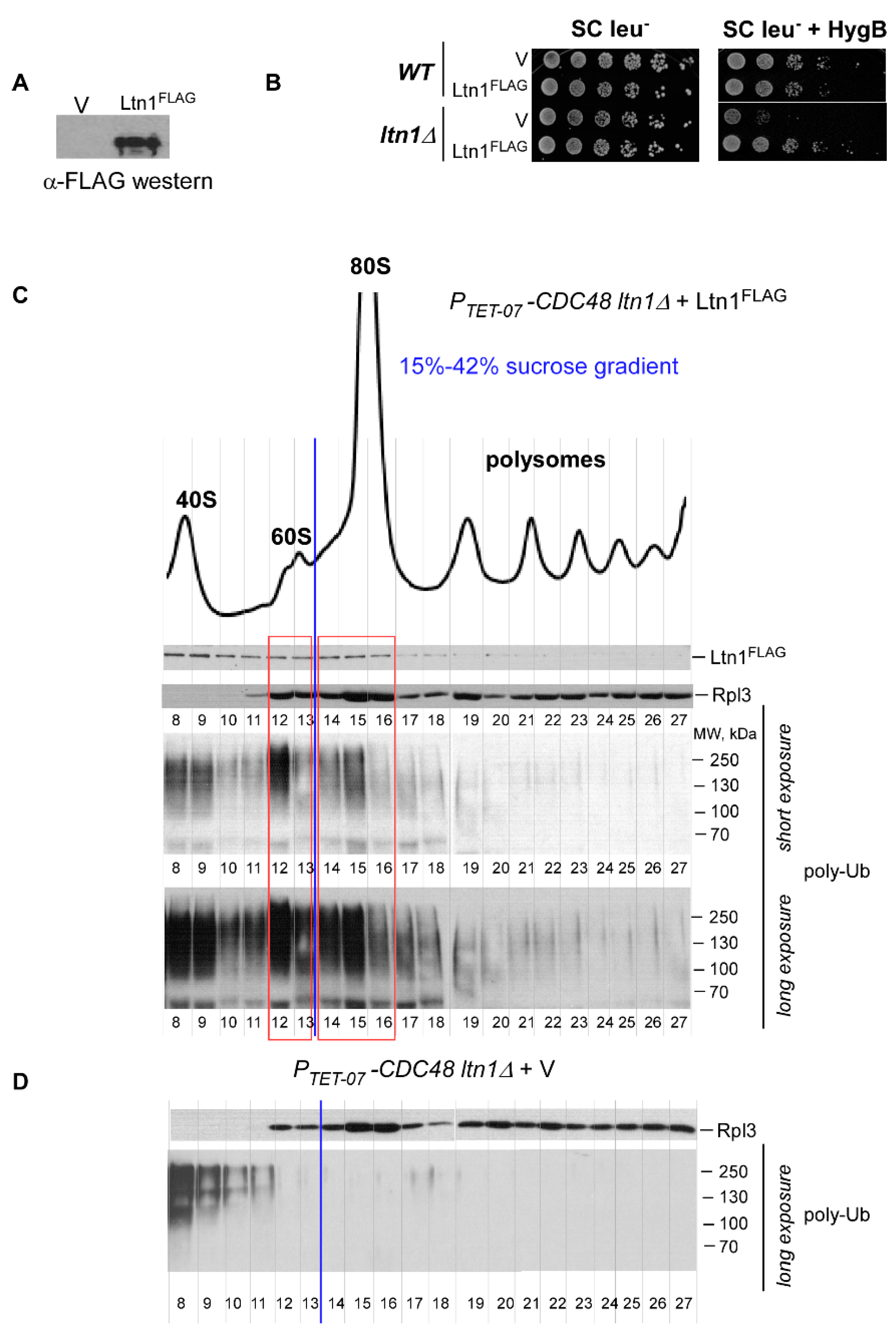 Ijms 21 06815 g002 Ijms 21 06815 g002